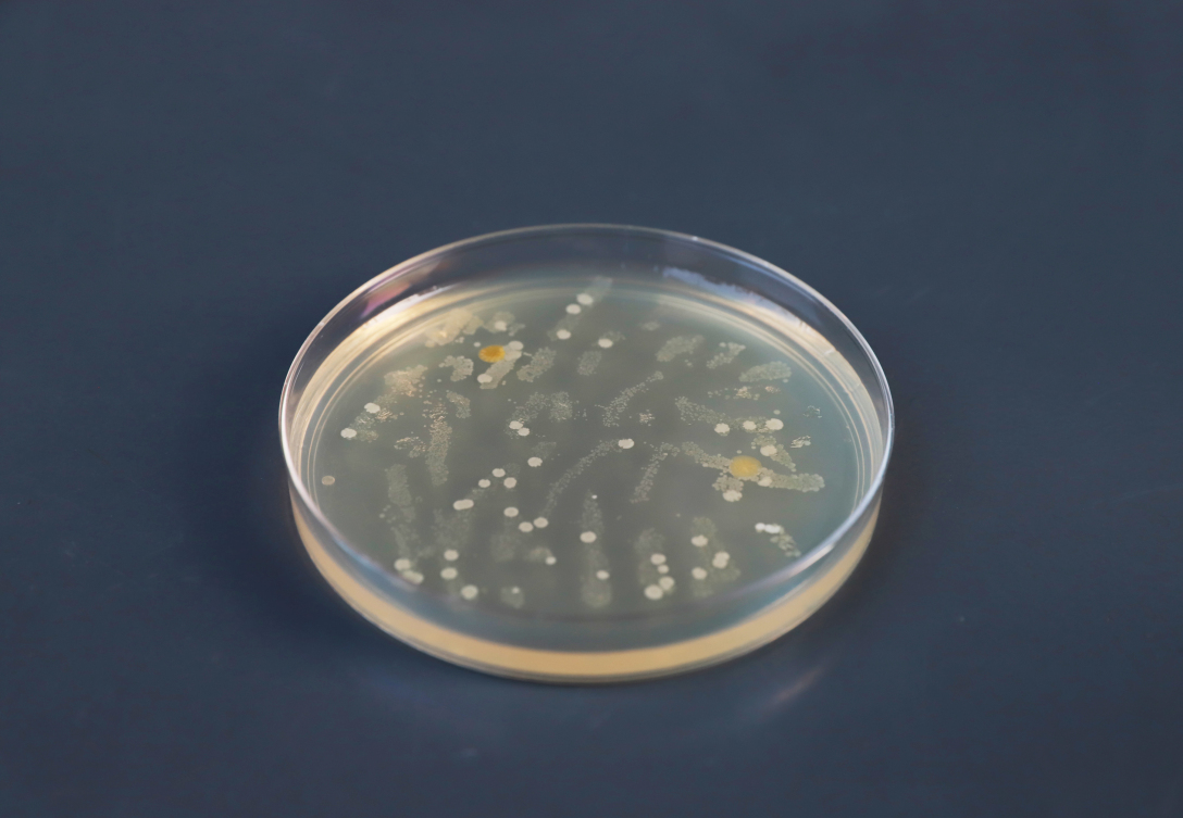 School of design, Central Academy of Fine Arts，Graduation exhibition，biotechnology，