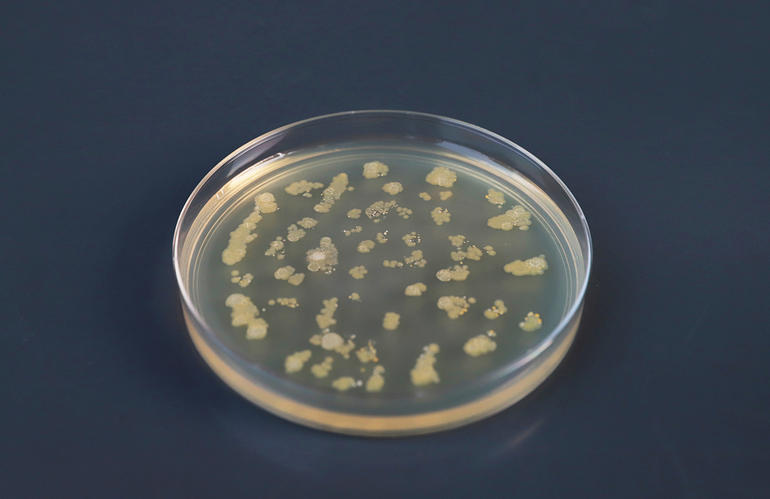 School of design, Central Academy of Fine Arts，Graduation exhibition，biotechnology，