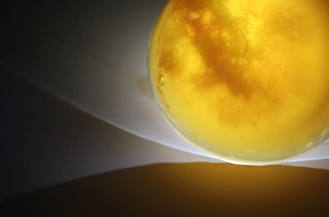 School of design, Central Academy of Fine Arts，Graduation exhibition，amber，Arts and Crafts，