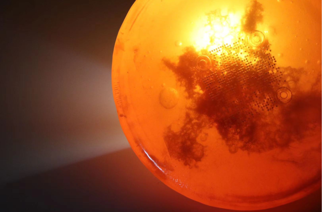 School of design, Central Academy of Fine Arts，Graduation exhibition，amber，Arts and Crafts，