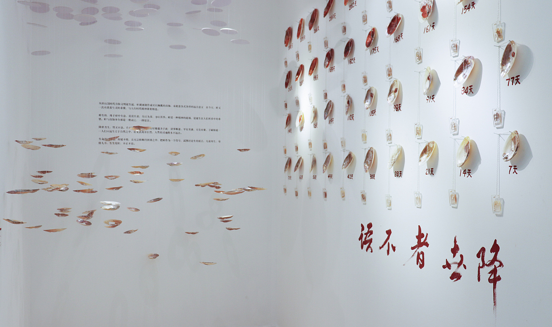 School of design, Central Academy of Fine Arts，Graduation exhibition，Clam，