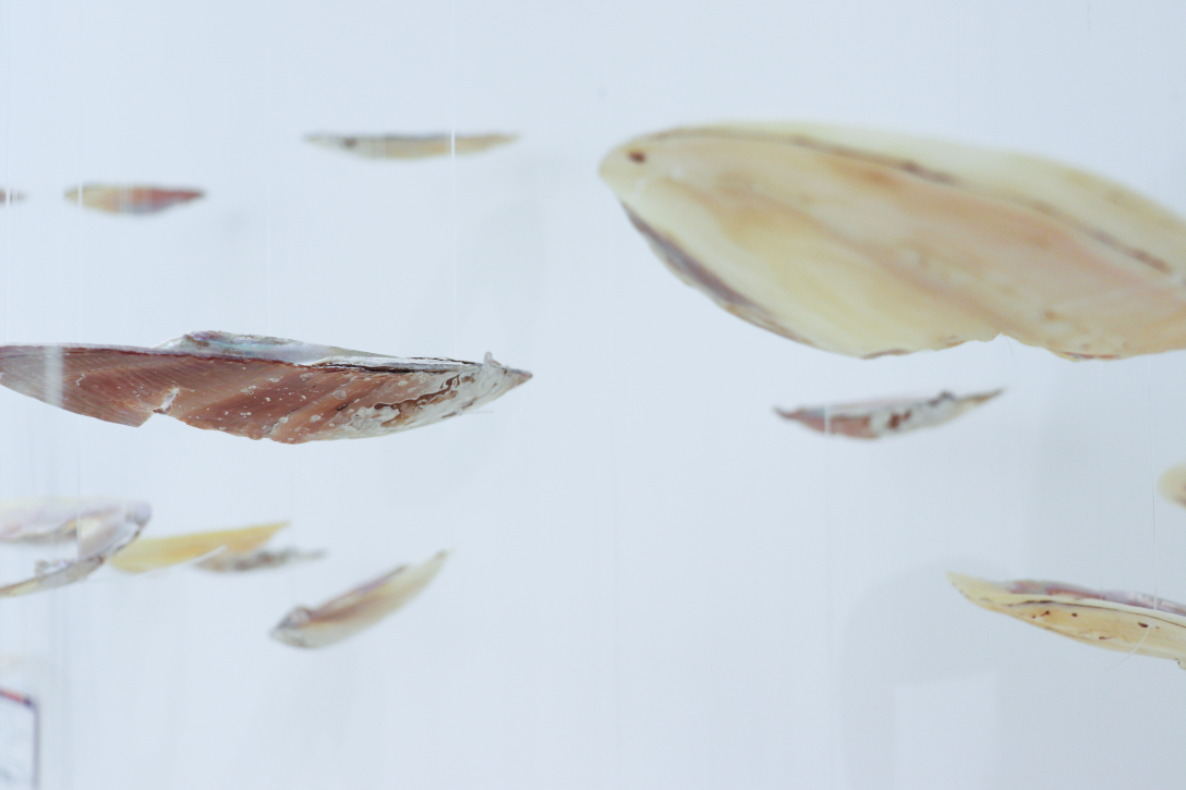 School of design, Central Academy of Fine Arts，Graduation exhibition，Clam，