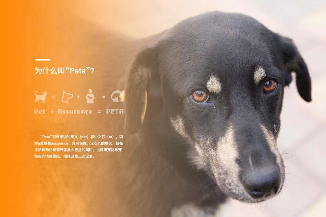 Graduation exhibition，School of design and art, China Academy of Fine Arts，Interaction design，App interface，