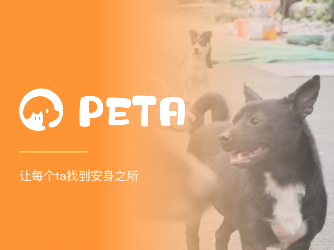 Graduation exhibition，School of design and art, China Academy of Fine Arts，Interaction design，App interface，