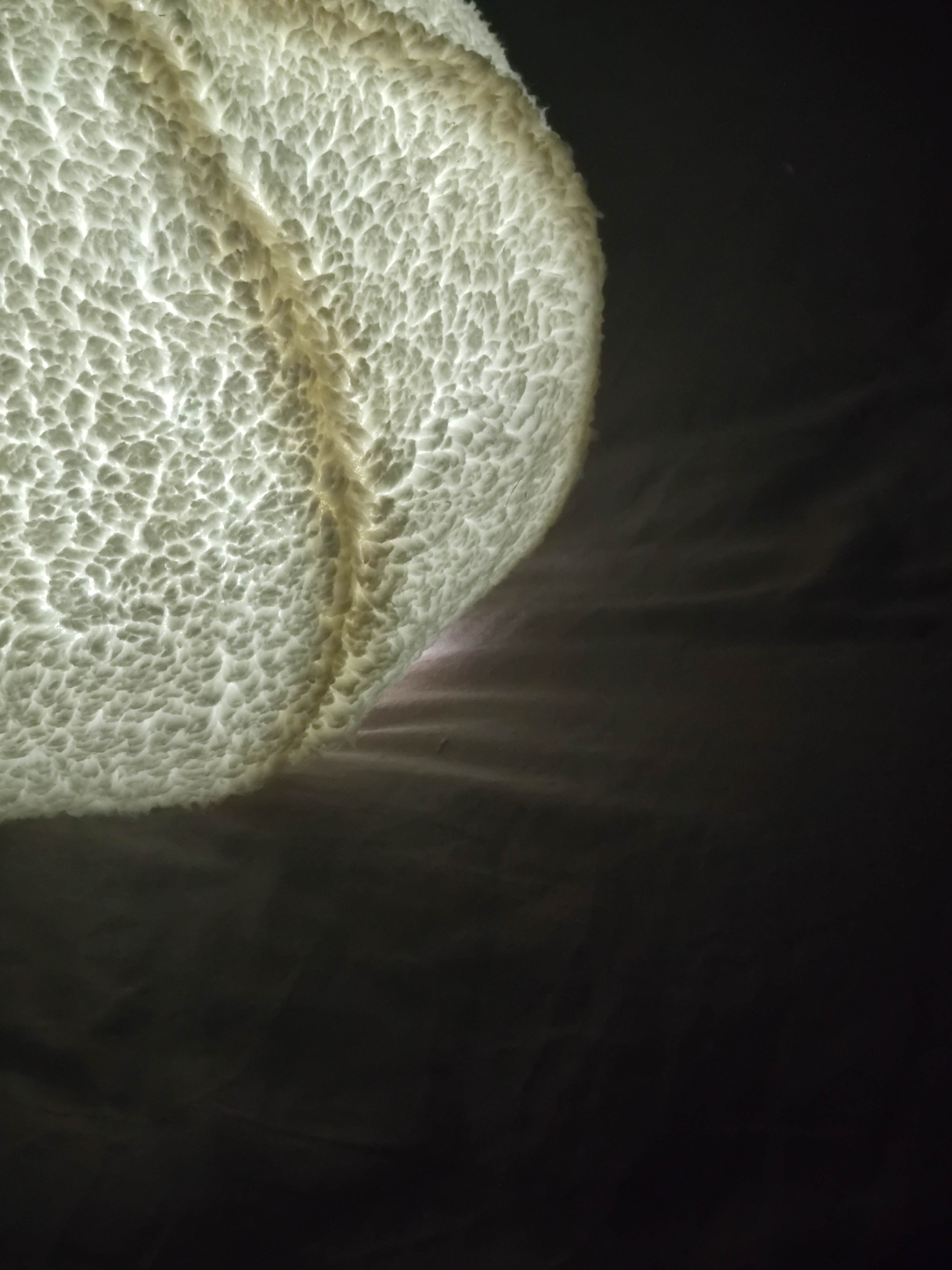 Graduation exhibition，School of design and art, China Academy of Fine Arts，biomimetic materials ，lamps and lanterns，Emotional healing，