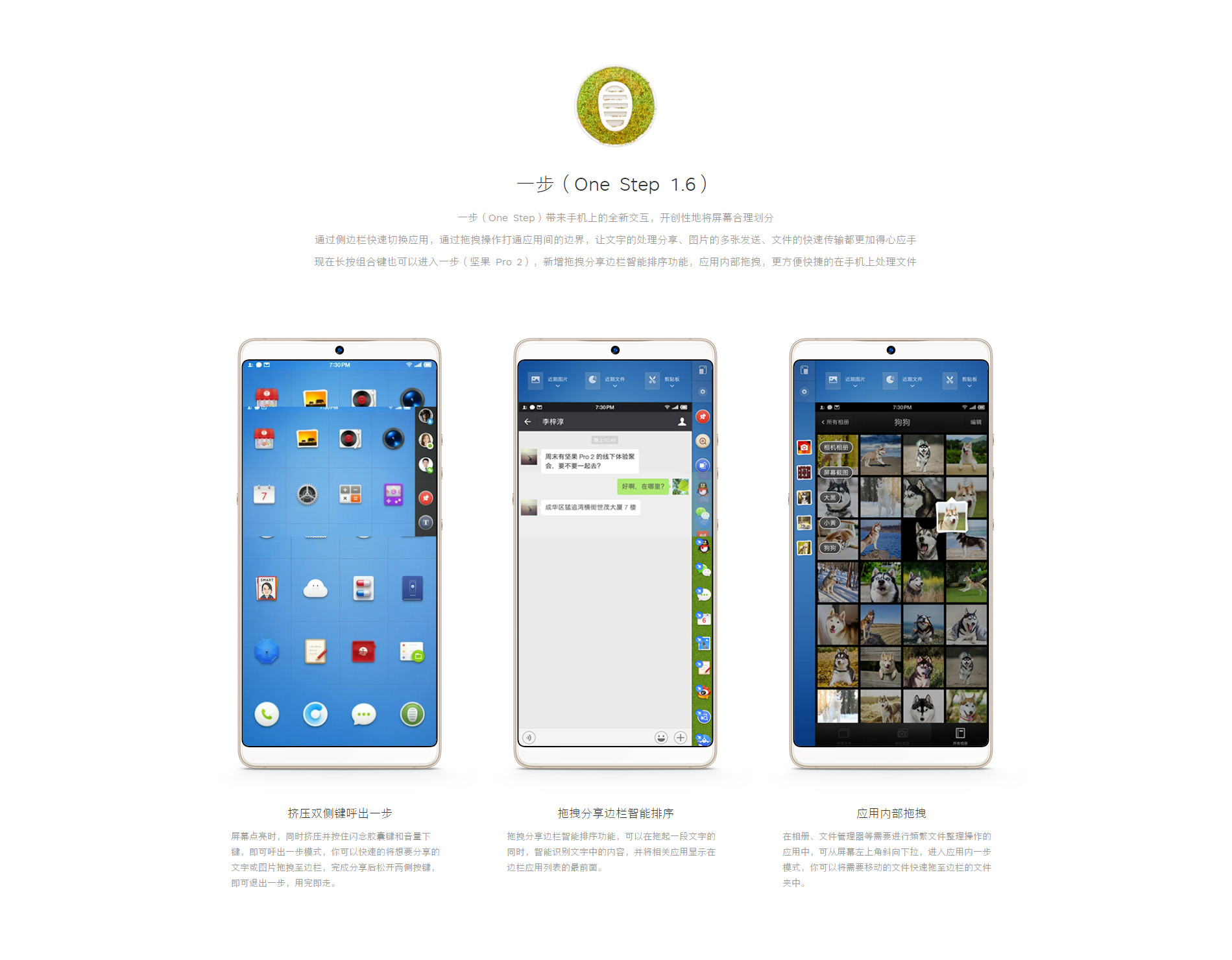 Hammer technology，Yong Hao Luo，pro2，Nut phone，