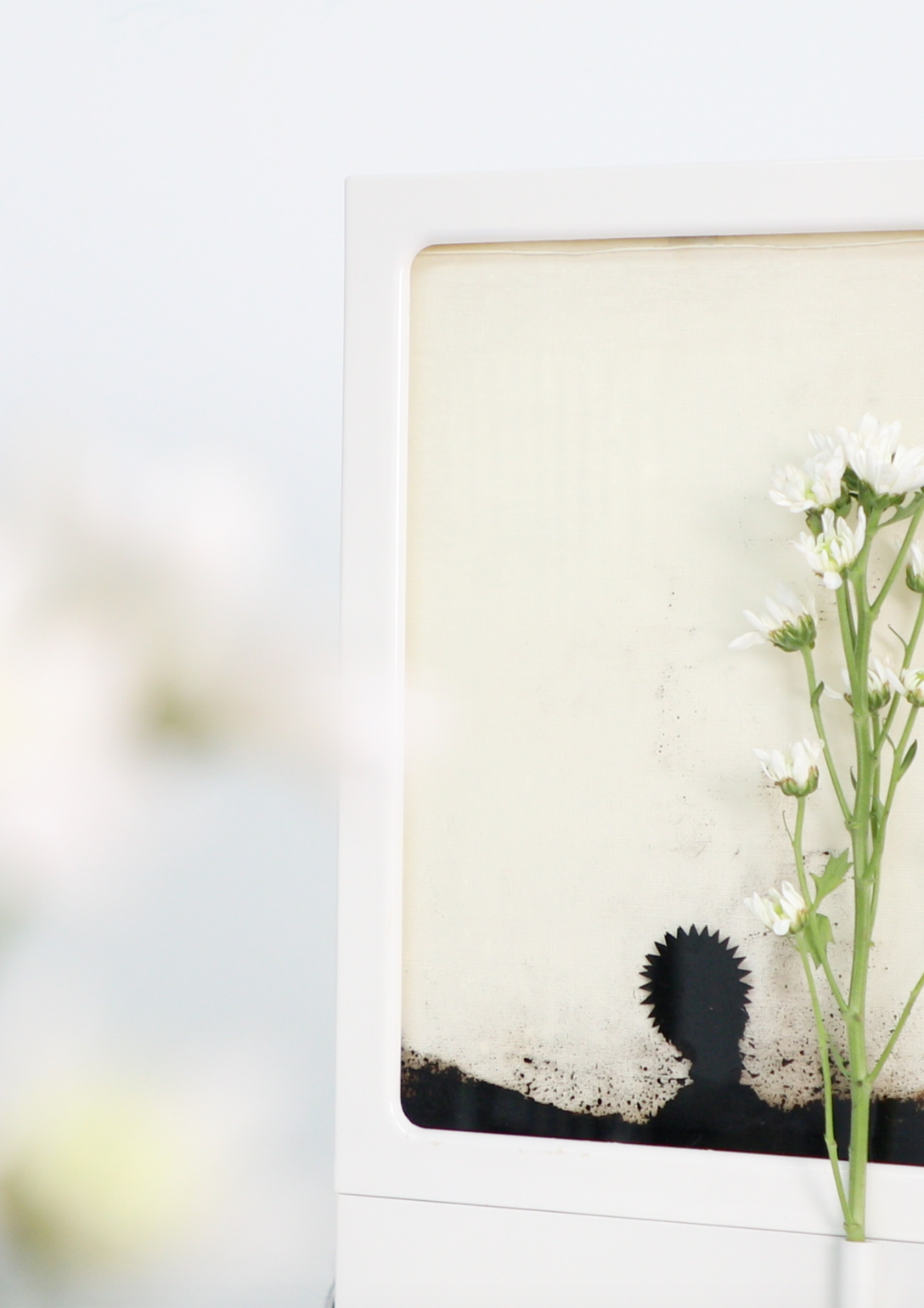 Graduation exhibition，School of design and art, China Academy of Fine Arts，lighting，vitality，Photo frame，