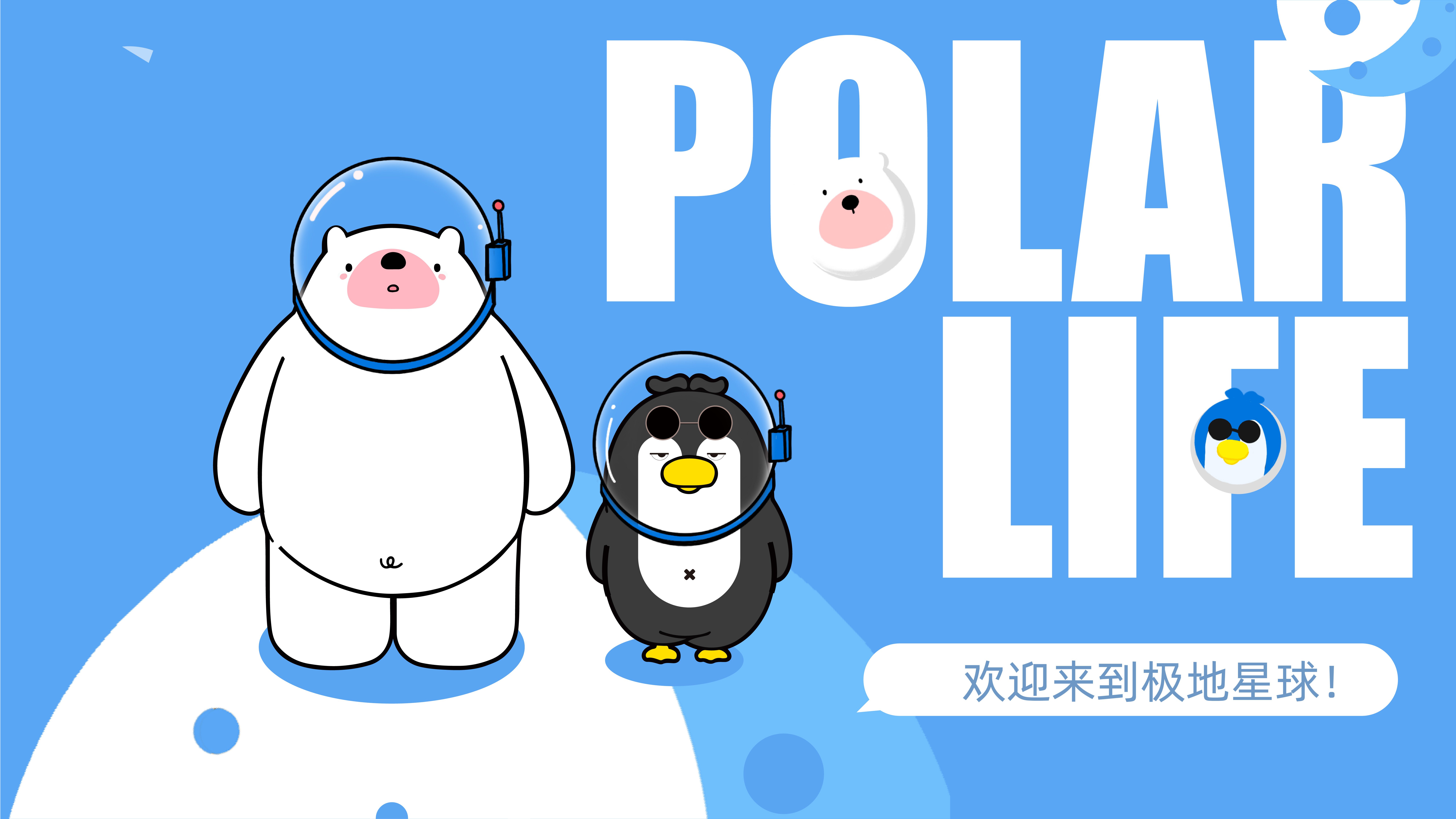 IP，lovely，Polar species，Simplicity，originality，