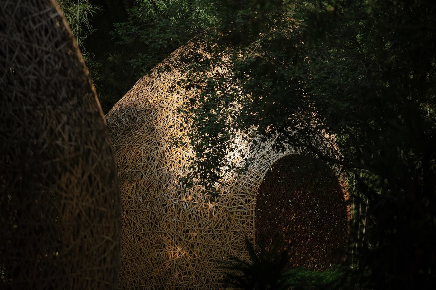 Bamboo shed，Pavilion，Bamboo，Light show，