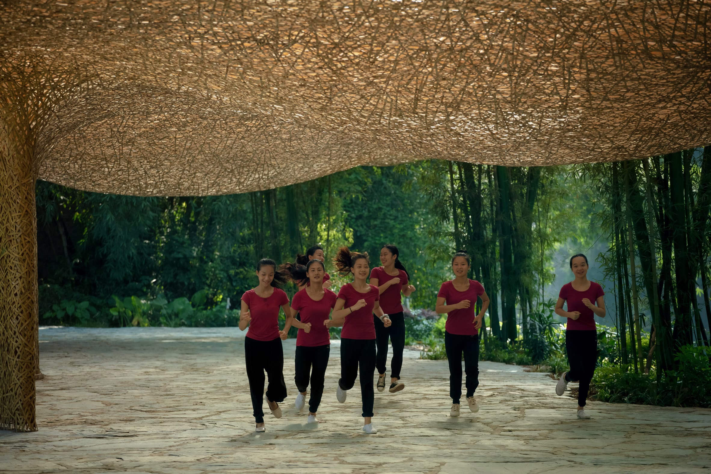 Bamboo shed，Pavilion，Bamboo，Light show，