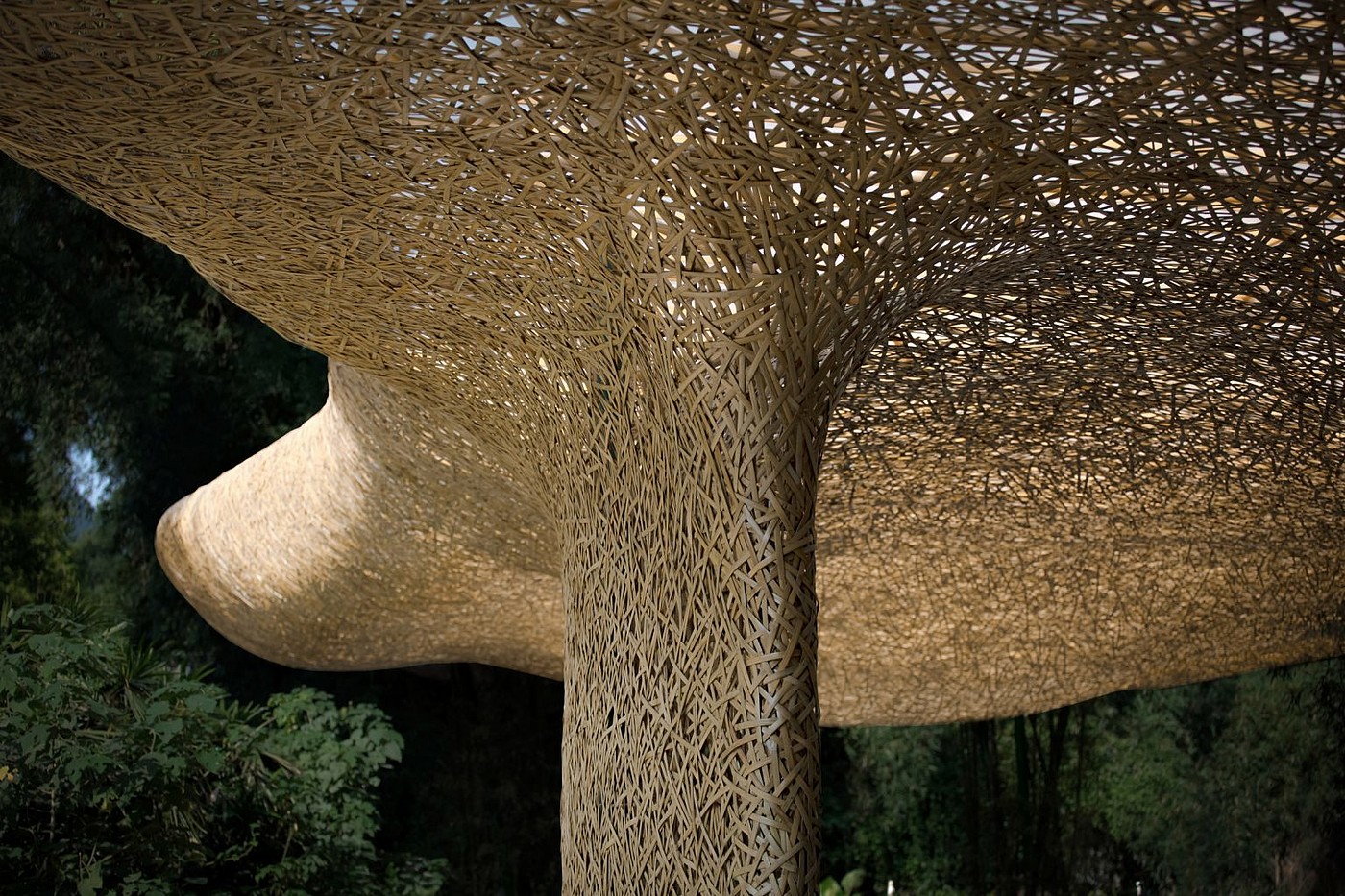 Bamboo shed，Pavilion，Bamboo，Light show，