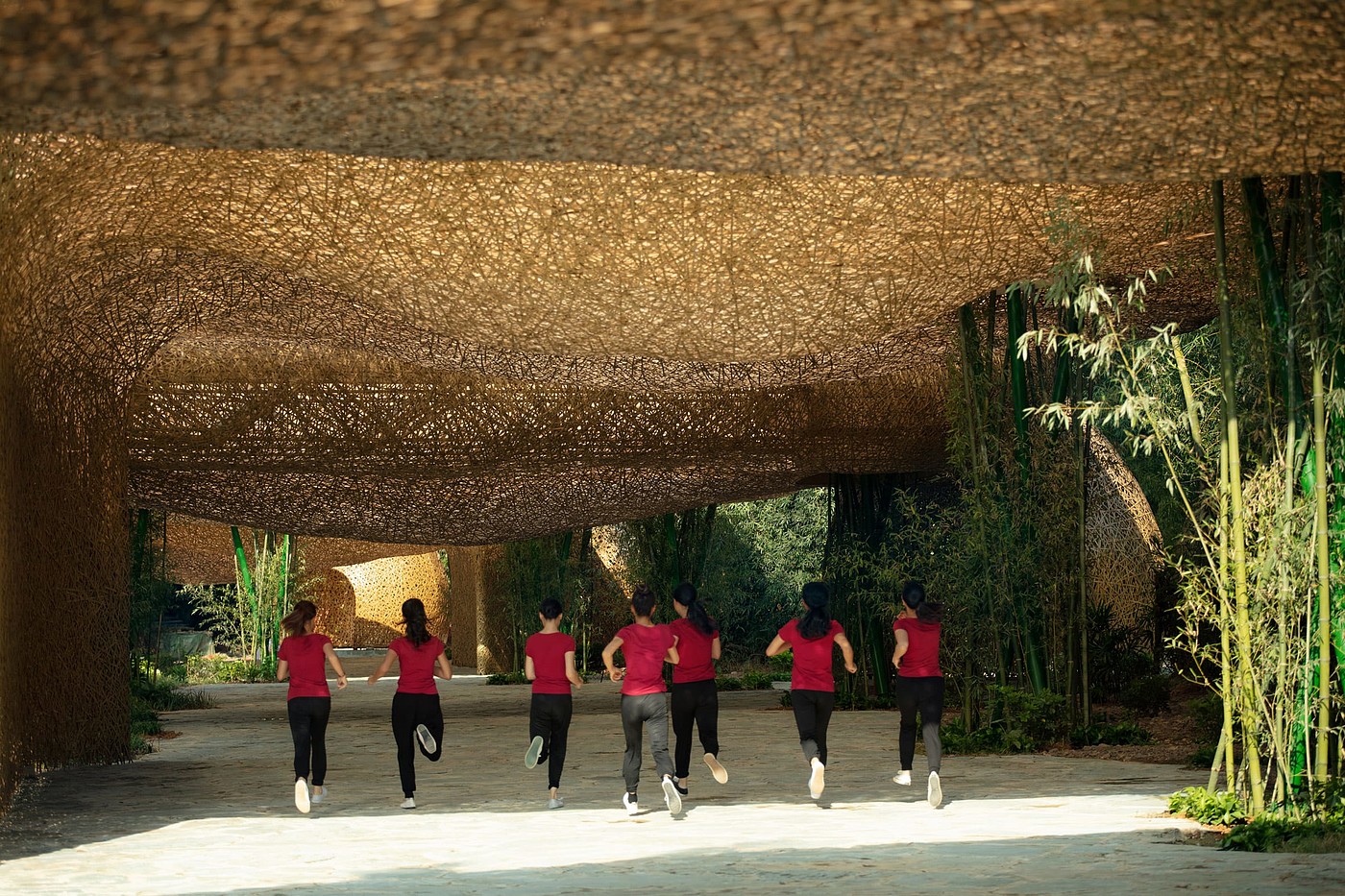 Bamboo shed，Pavilion，Bamboo，Light show，
