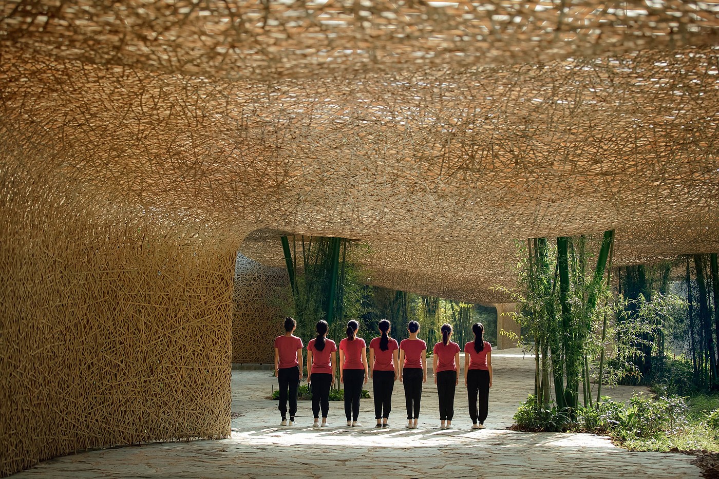 Bamboo shed，Pavilion，Bamboo，Light show，