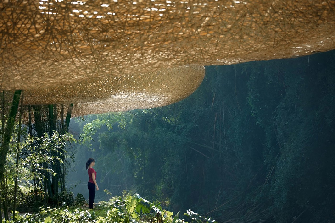 Bamboo shed，Pavilion，Bamboo，Light show，