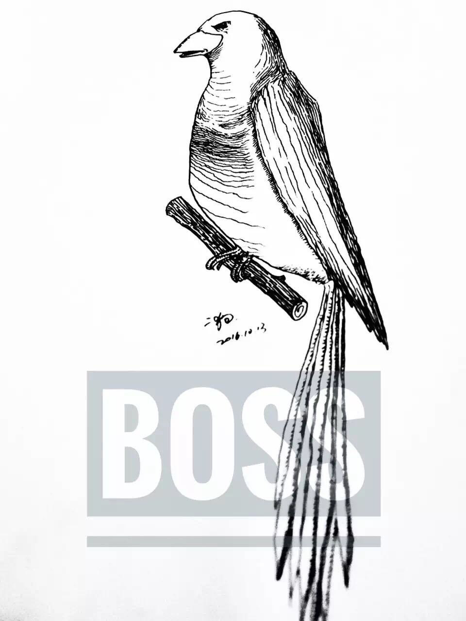 Hand drawn, color, black and white, big face meow，