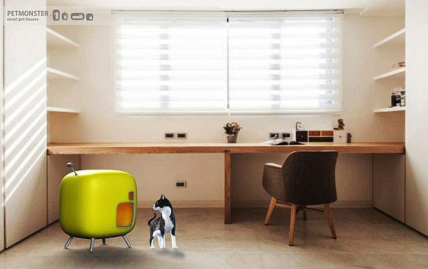 Small pet，intelligence，clever，colour，