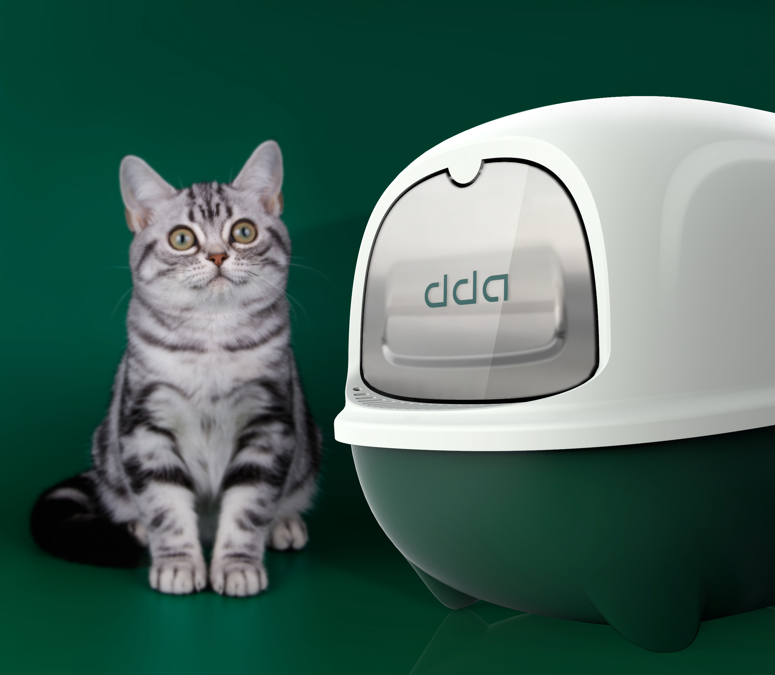 Dida Technology，product design，Pet Supplies & Pet，Litter Basin，Cat cat，Cat Toilet，PET，Pet products，