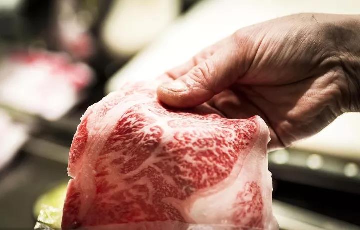 Made in Japan，Nissan，product design，industrial design，