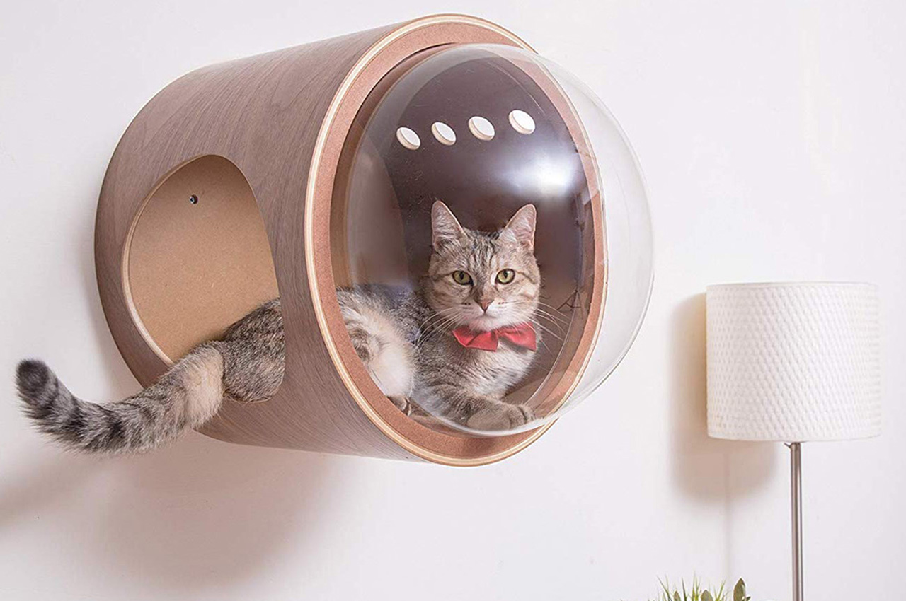 furniture，wooden ，Table，Cat nest，