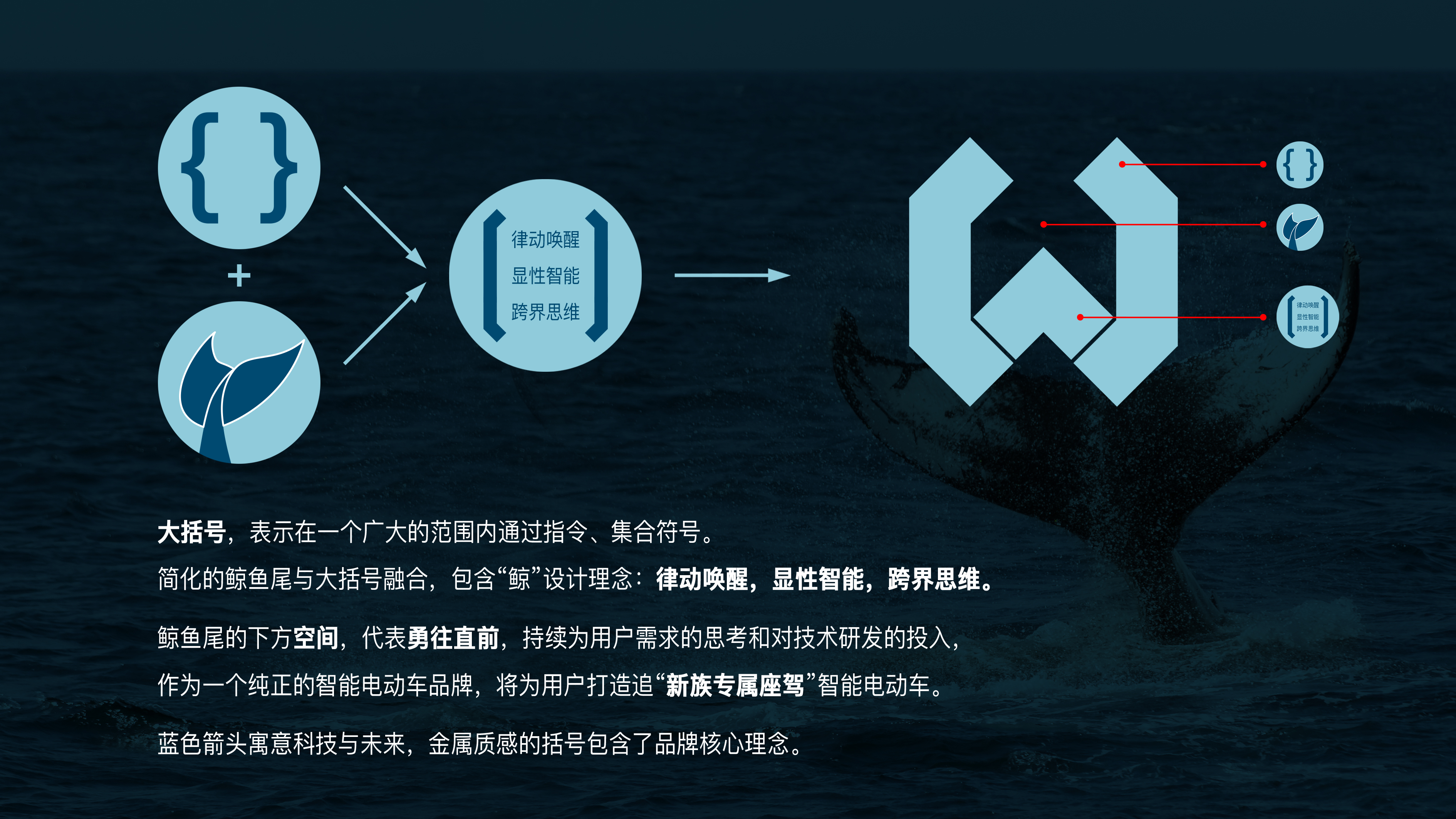 Roewe auto whale logo，