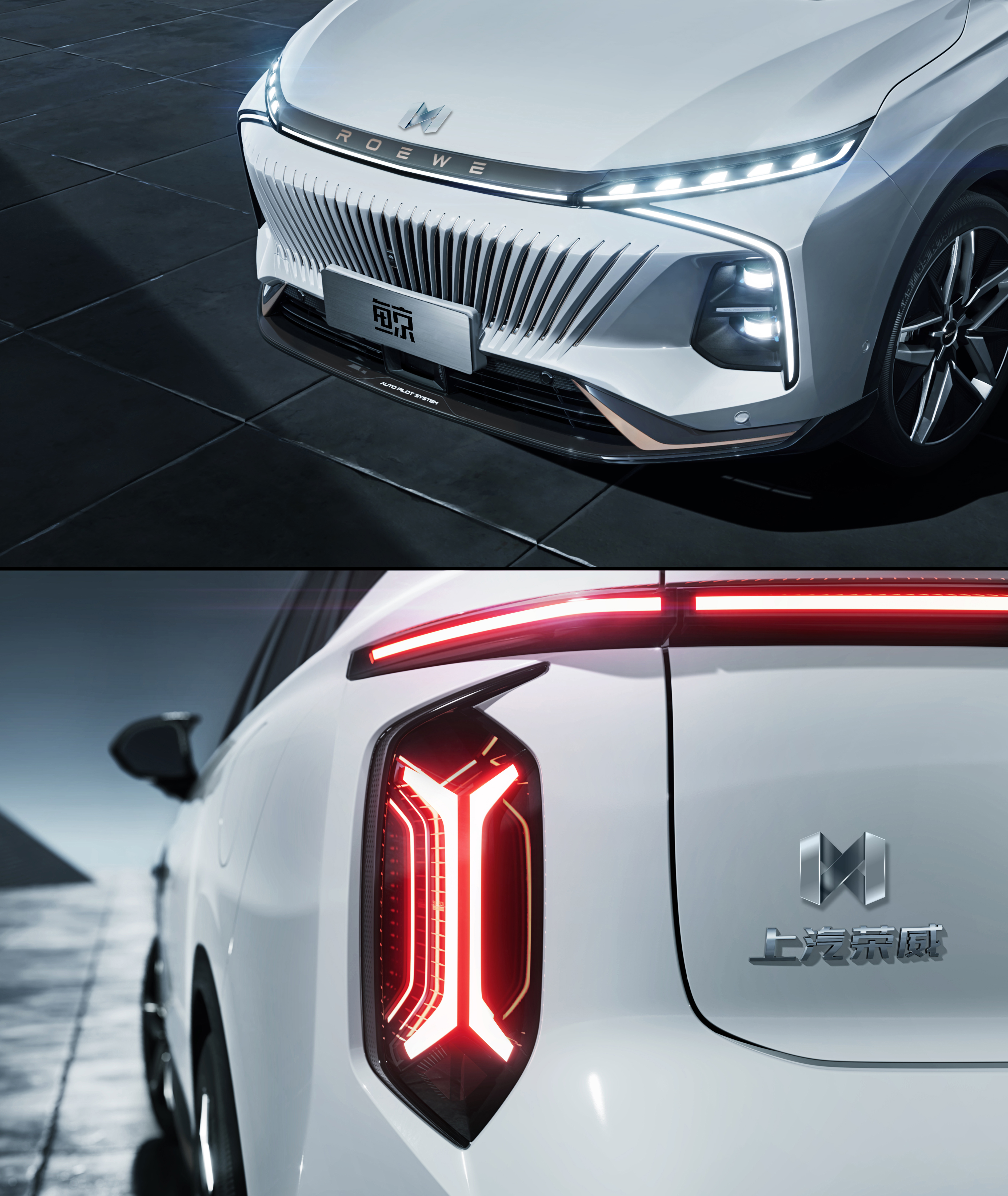 Roewe whale，Roewe whale logo，