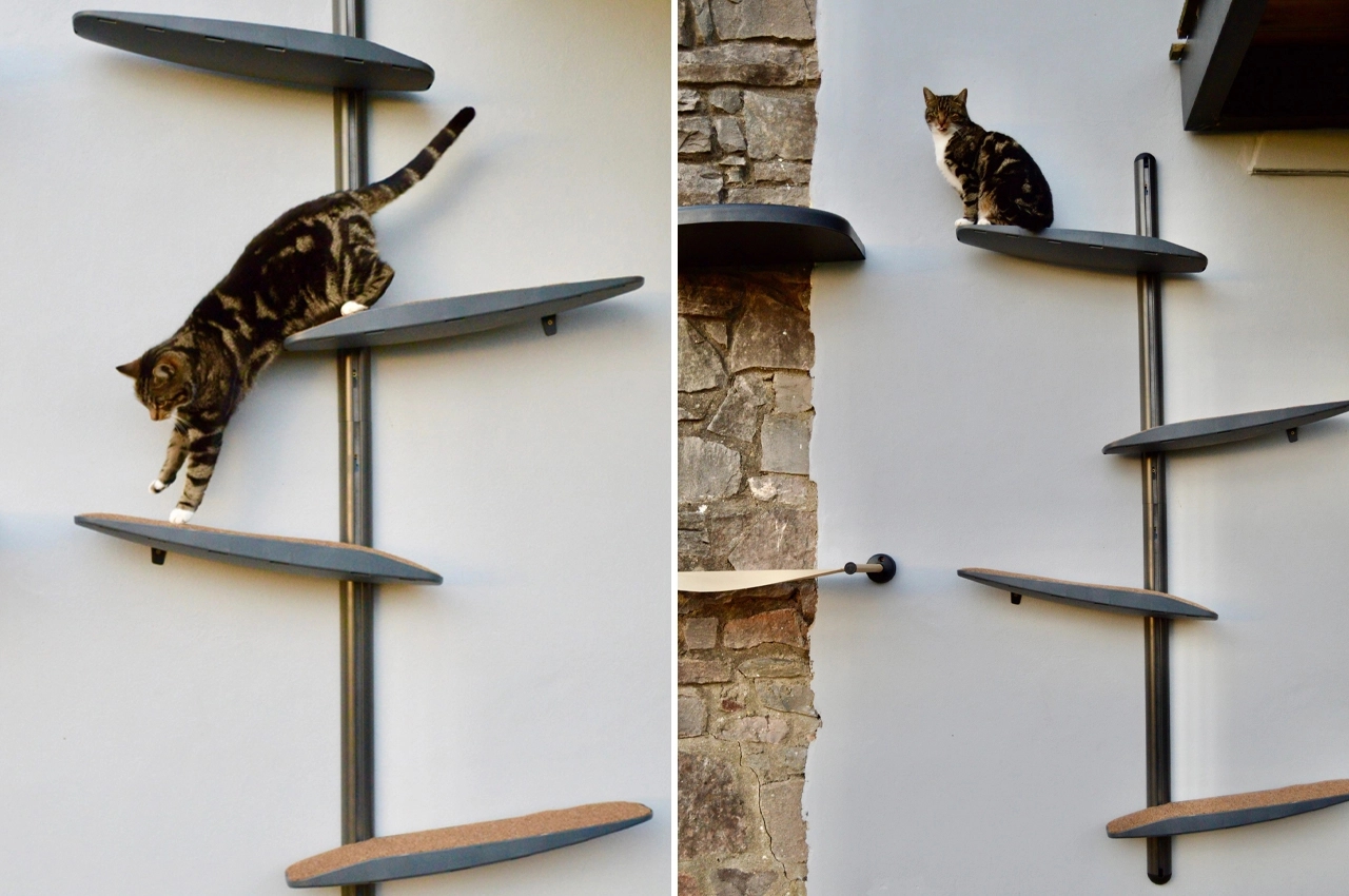Wall mounted，sustainable，Cat toys，Climbing frame，
