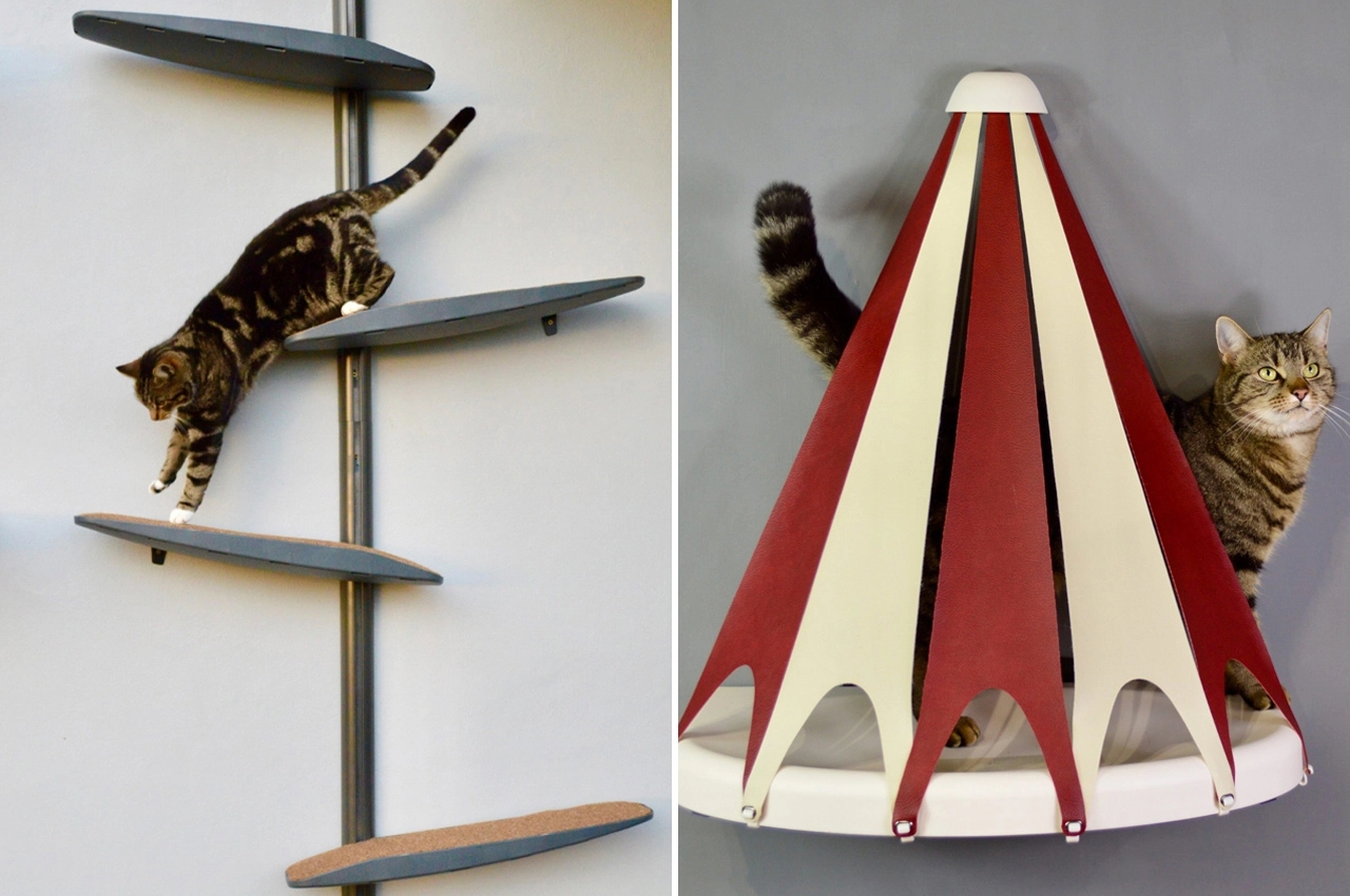 Wall mounted，sustainable，Cat toys，Climbing frame，