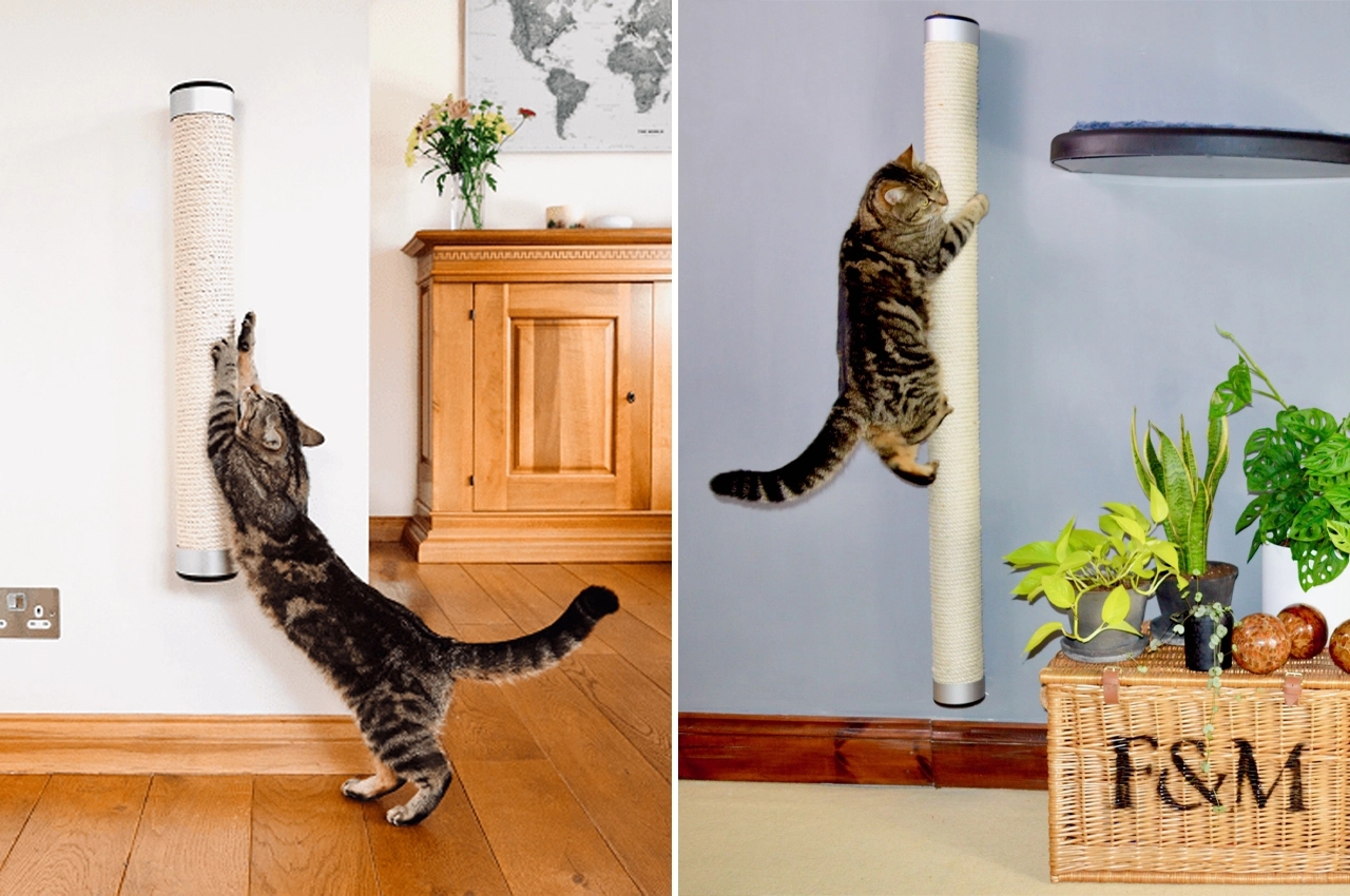 Wall mounted，sustainable，Cat toys，Climbing frame，