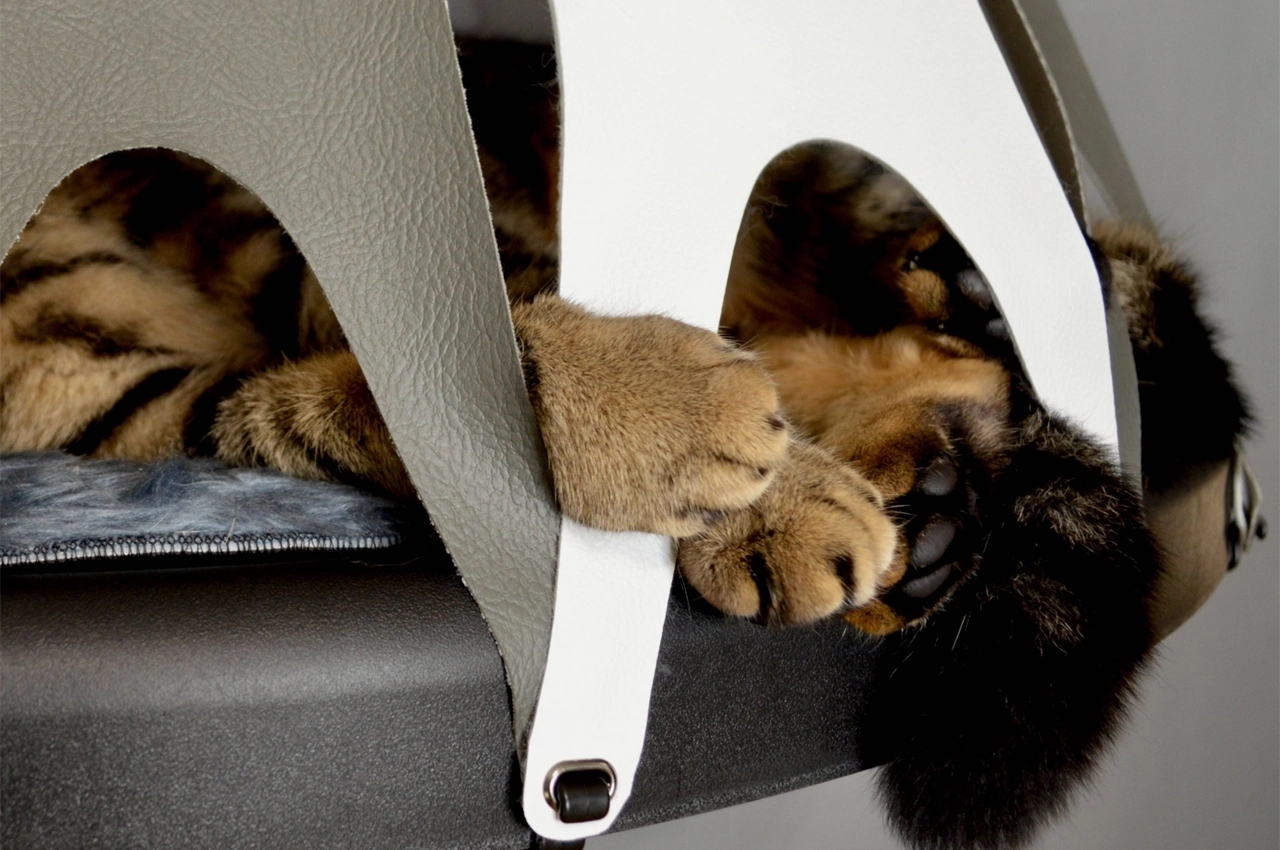 Wall mounted，sustainable，Cat toys，Climbing frame，