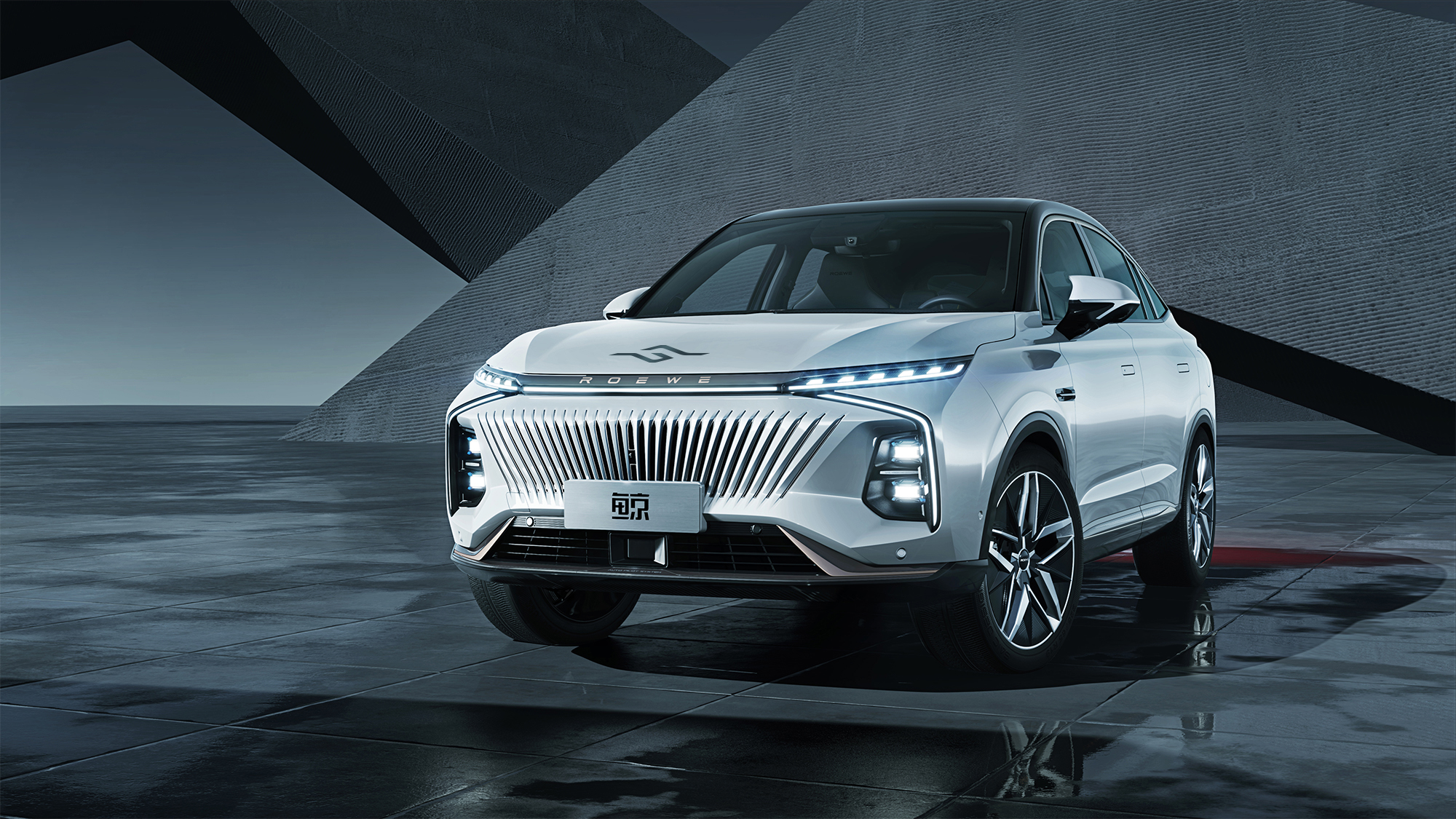 whale，logo，Roewe whale，Design Competition，