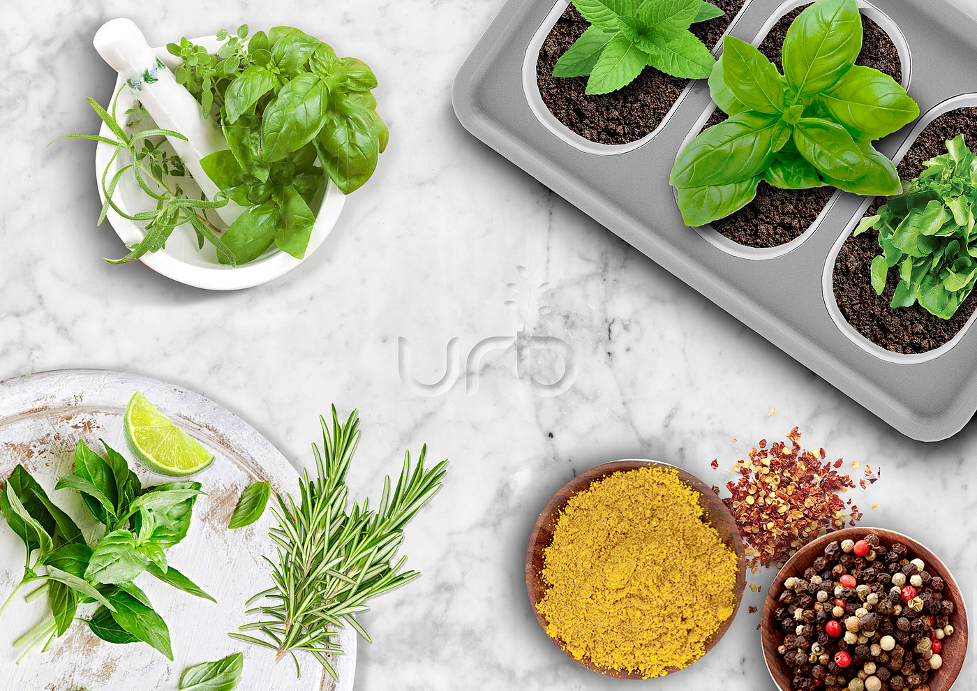 plant，Vegetables，vegetable field，city，green，healthy，concept，