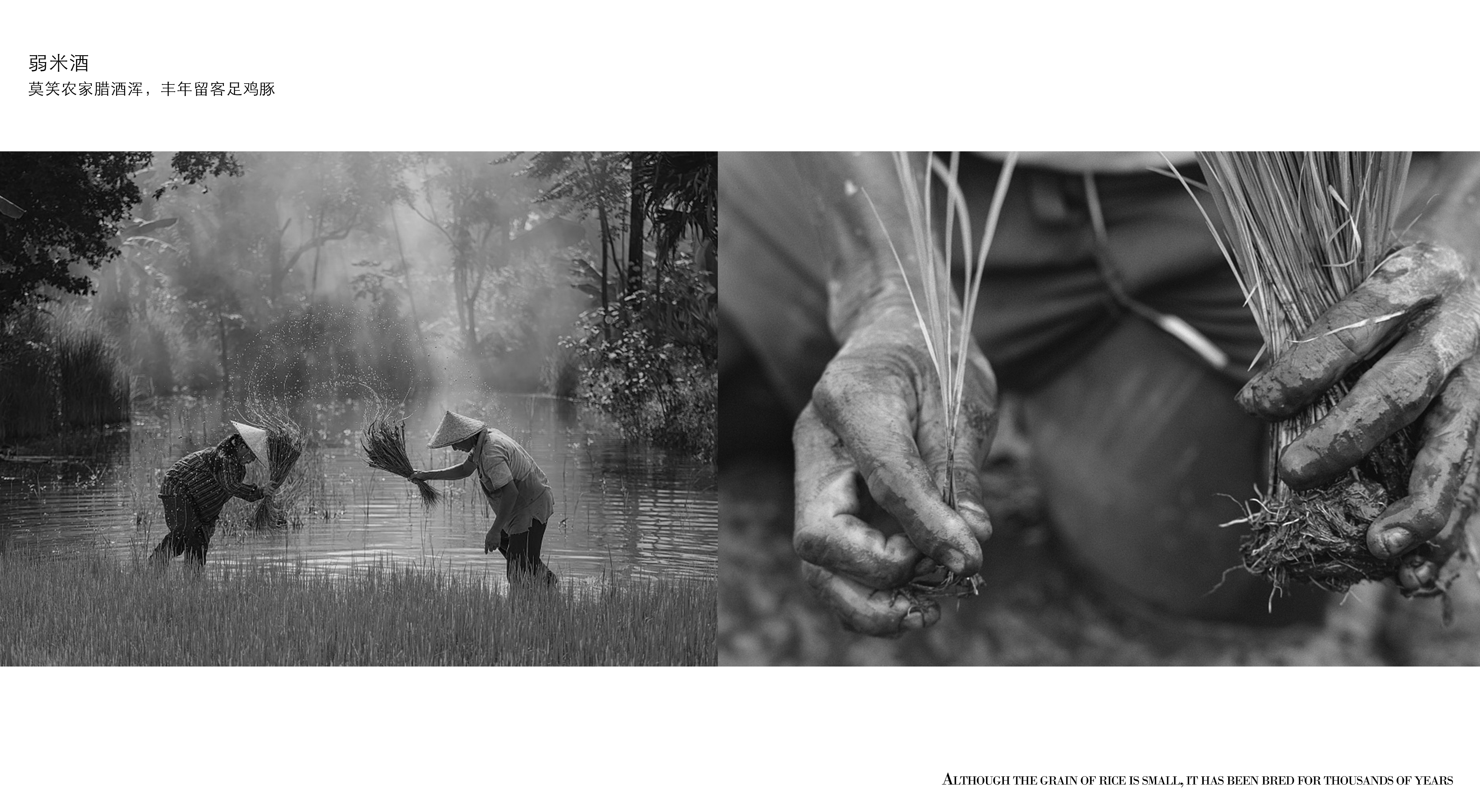 packing design，Container modeling design，Label design，product design，