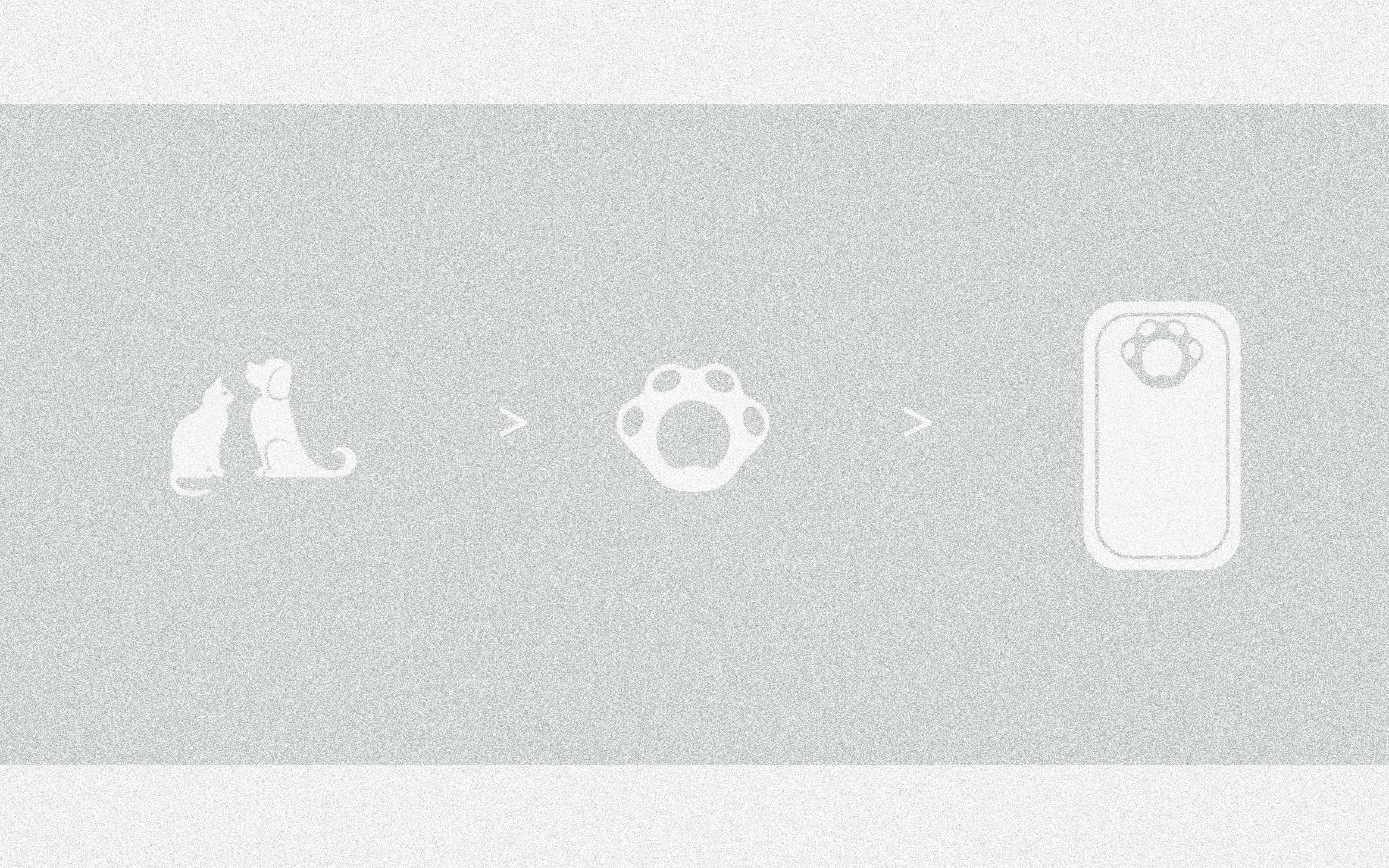 Pet products，originality，Design innovation，