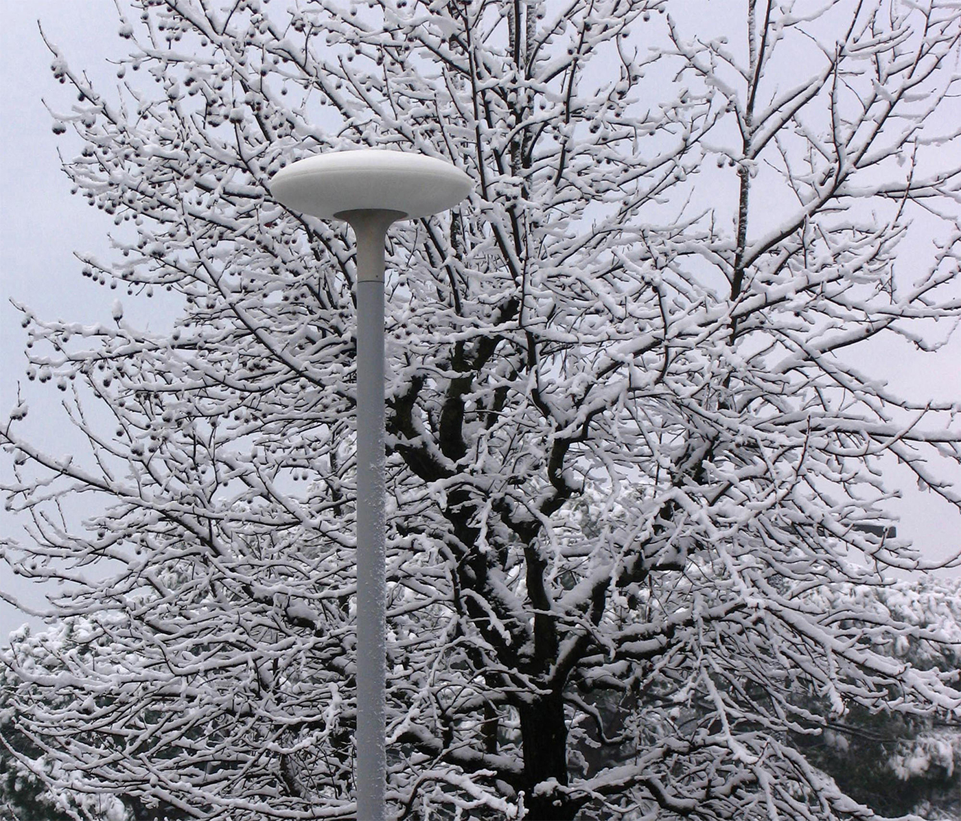 Courtyard lamp，Courtyard lamp design，