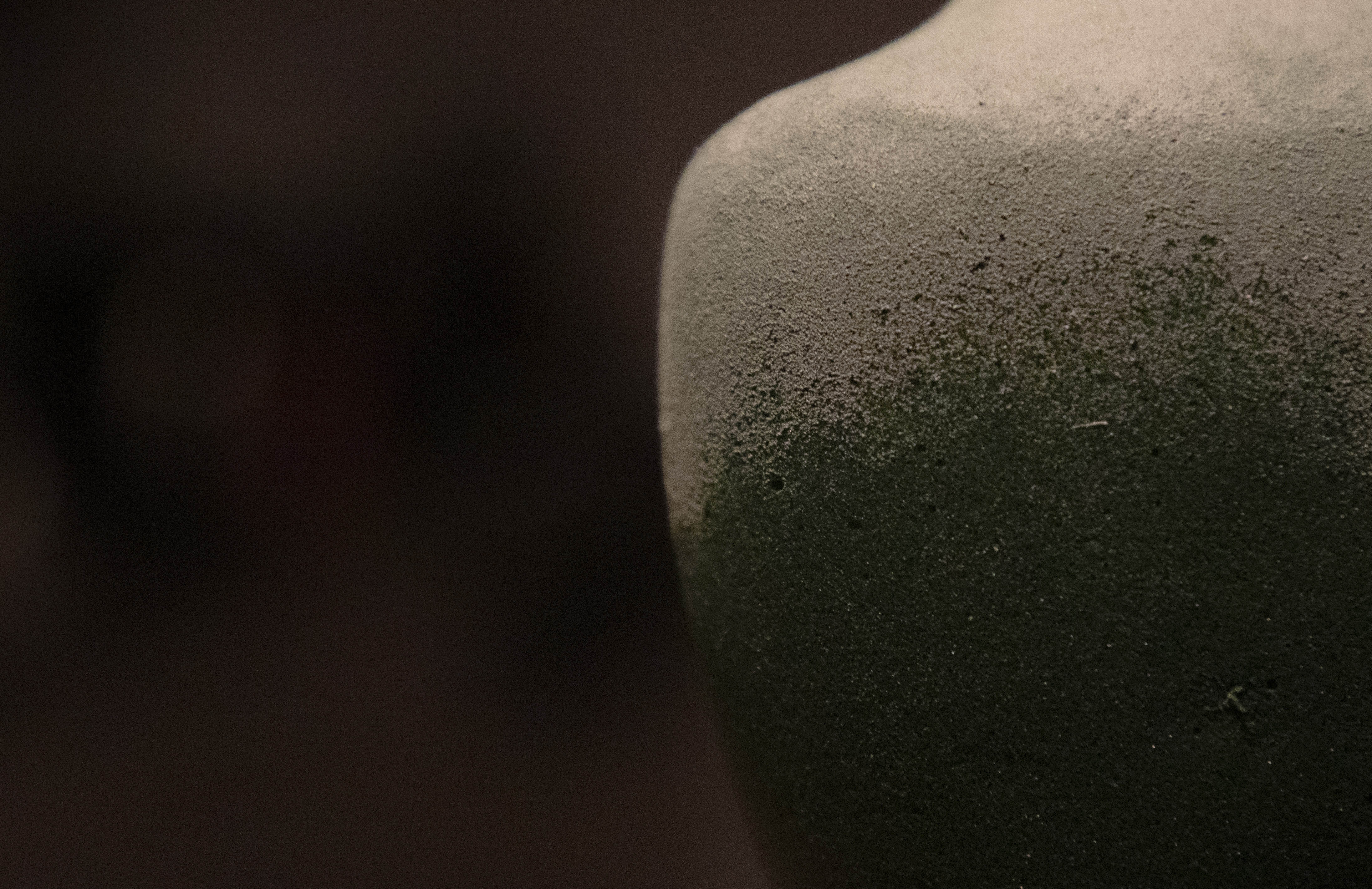 vase，foam，flower arrangement，Material Science，