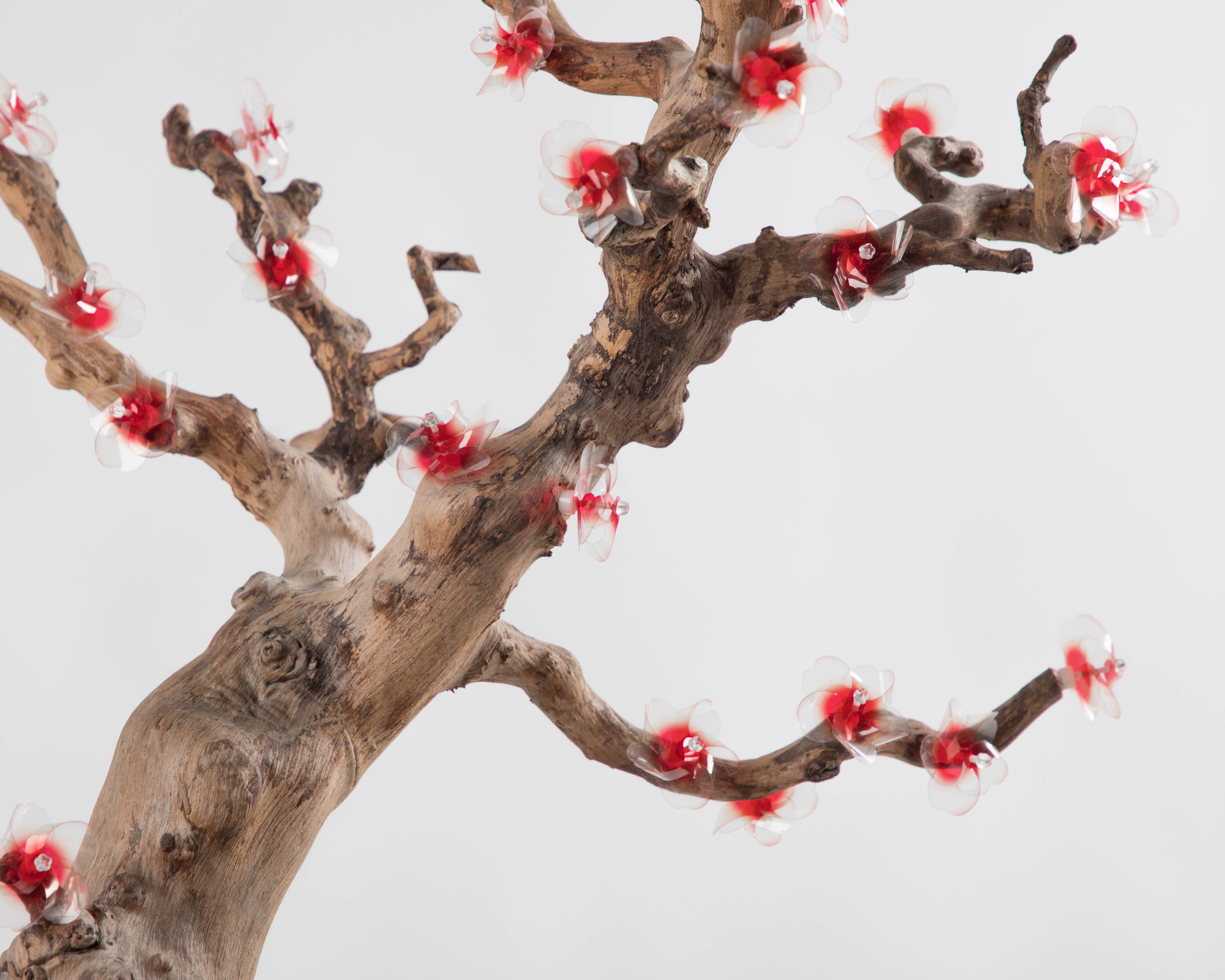 Graduation exhibition，windmill，Old tree，life，School of industrial design, Guangzhou Academy of Fine Arts，