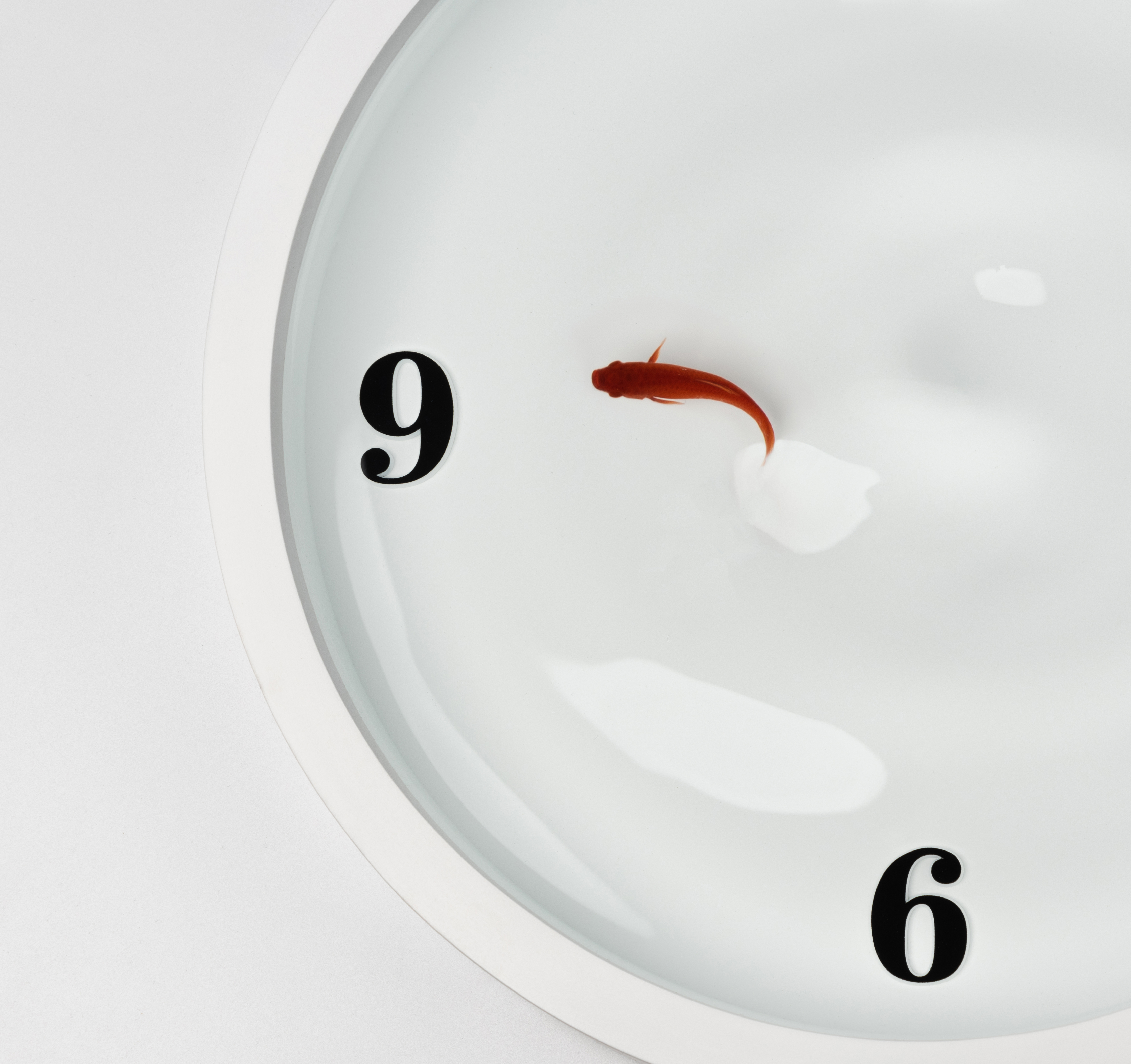 Graduation exhibition，fish tank，Clock，School of industrial design, Guangzhou Academy of Fine Arts，