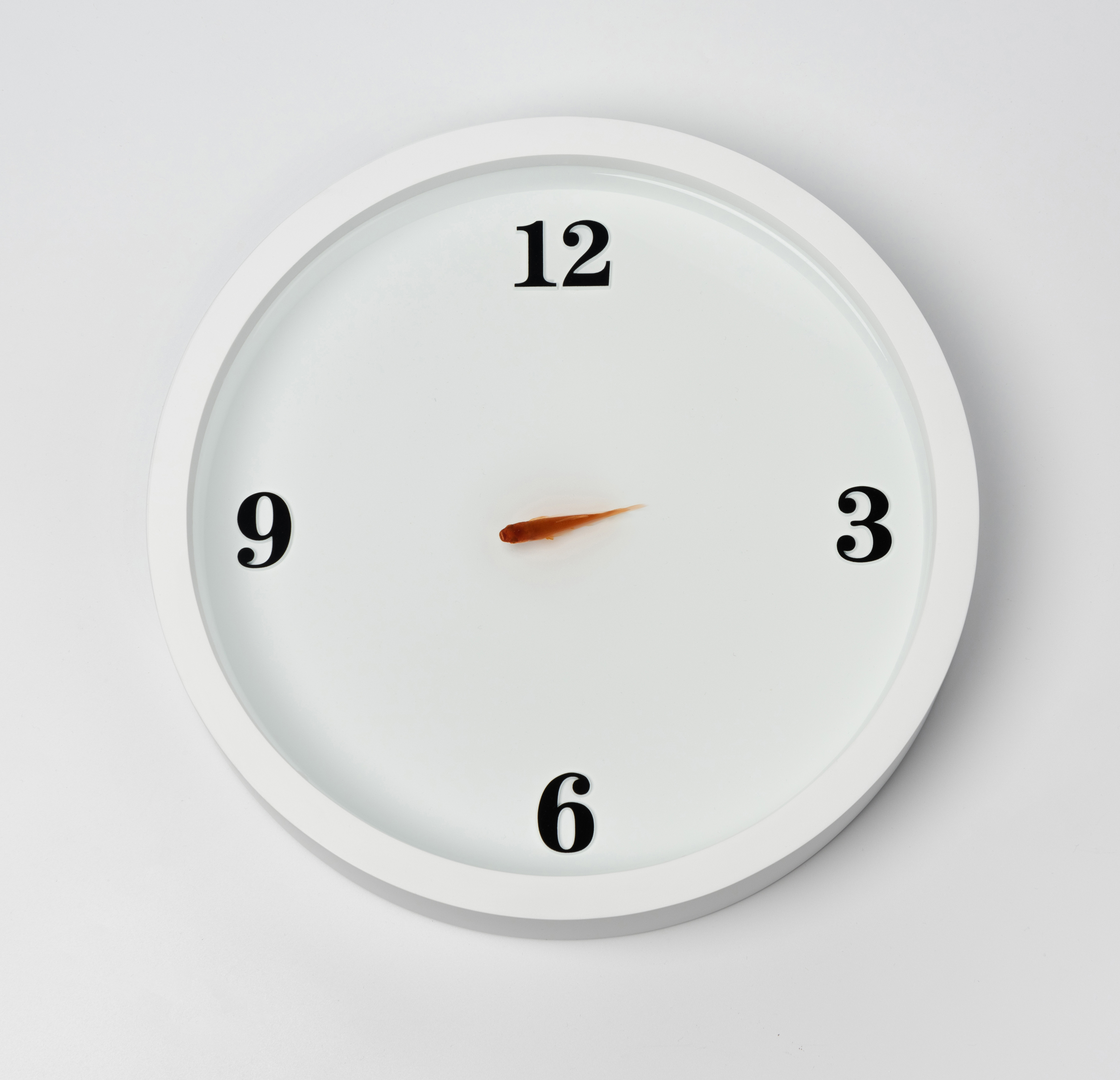 Graduation exhibition，fish tank，Clock，School of industrial design, Guangzhou Academy of Fine Arts，