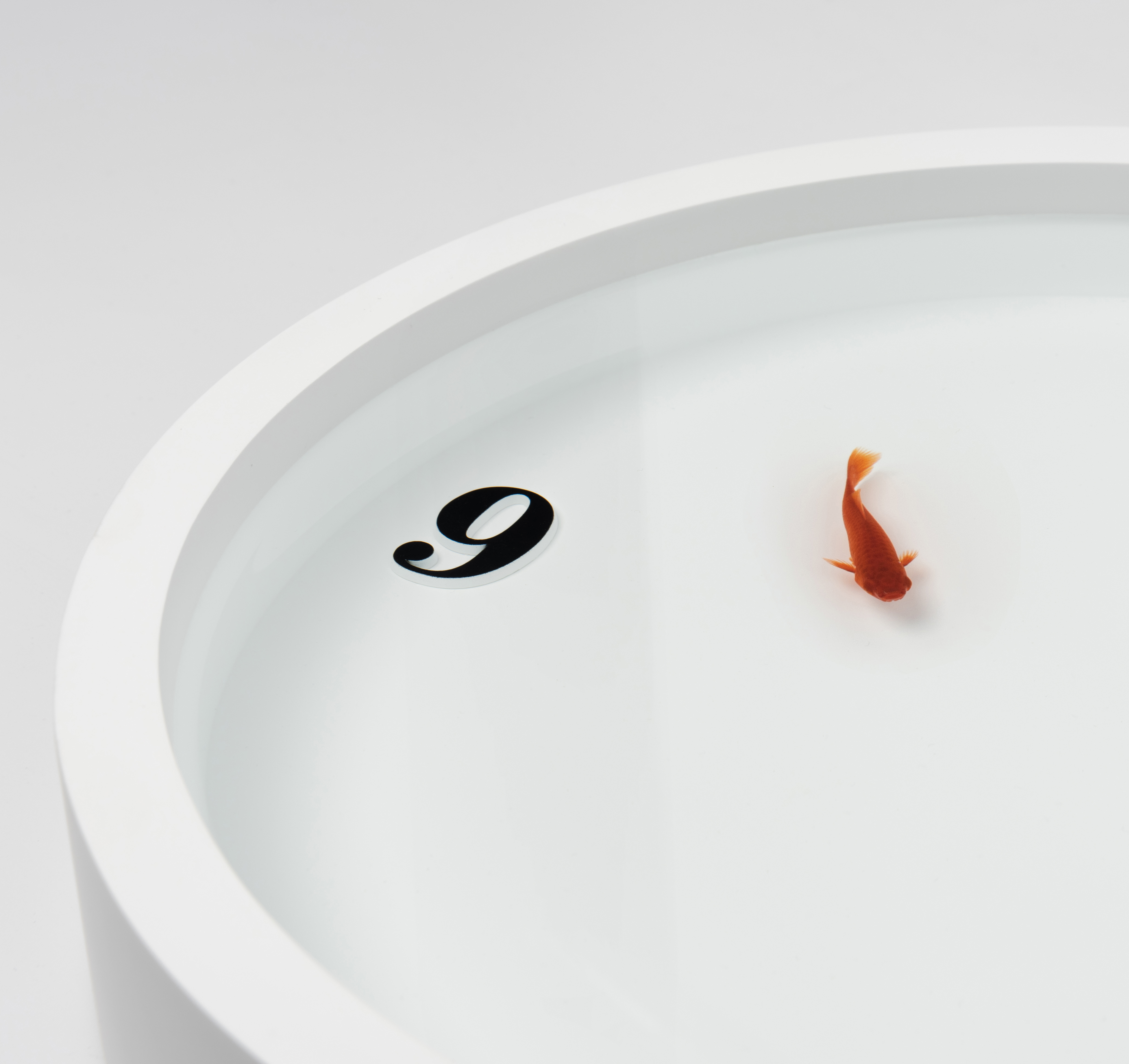 Graduation exhibition，fish tank，Clock，School of industrial design, Guangzhou Academy of Fine Arts，