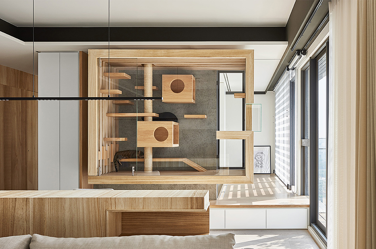 apartment，Glass cabin，cat，