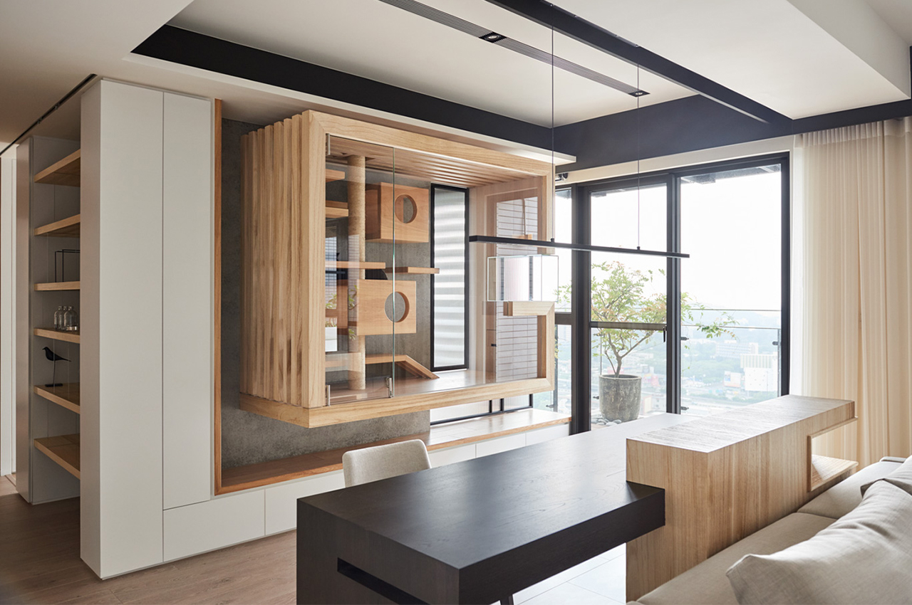 apartment，Glass cabin，cat，