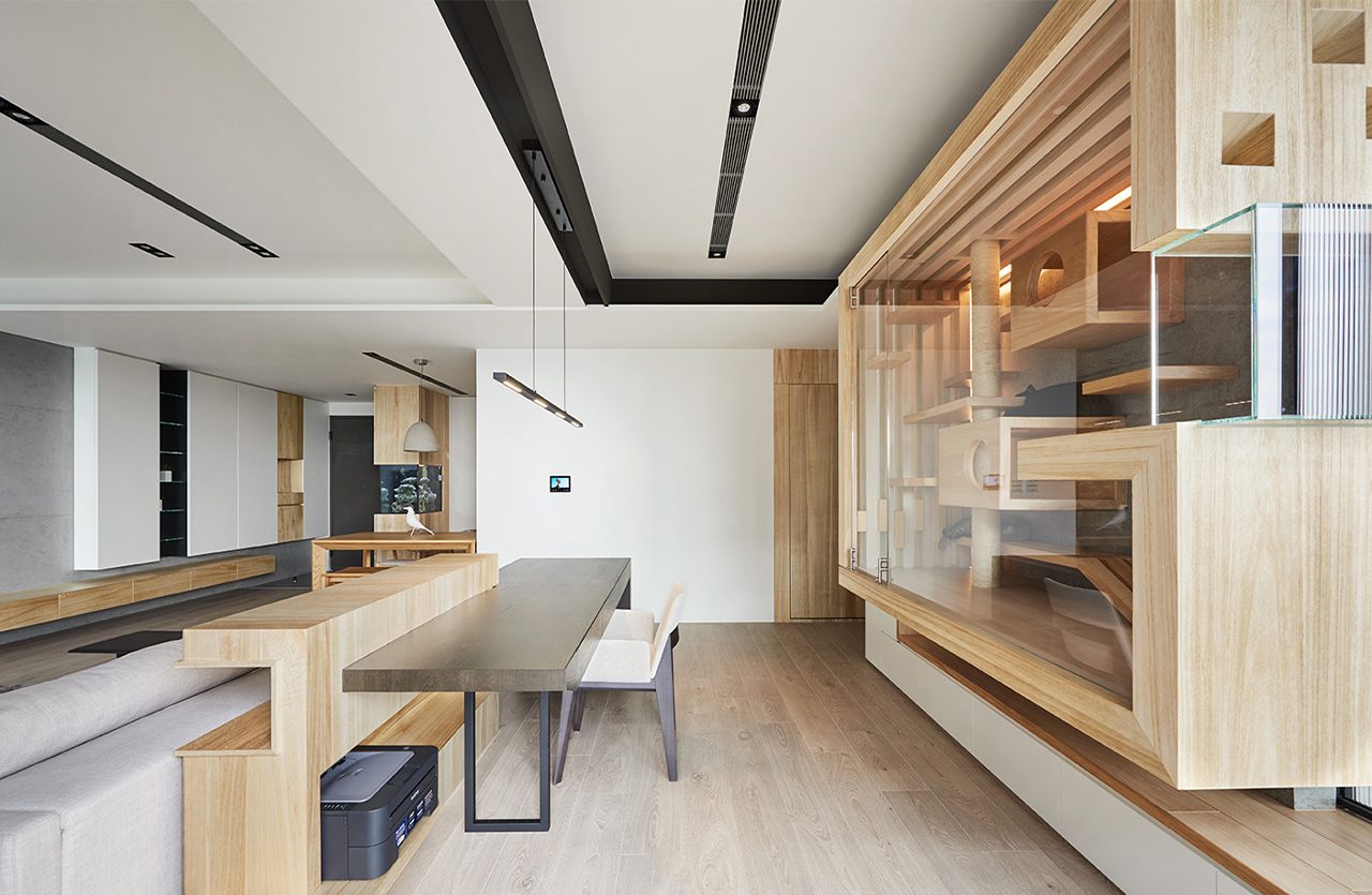 apartment，Glass cabin，cat，