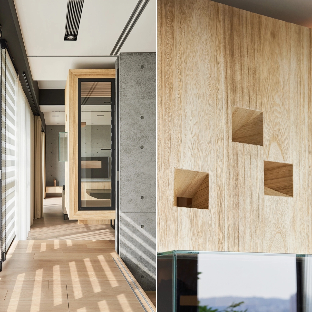 apartment，Glass cabin，cat，