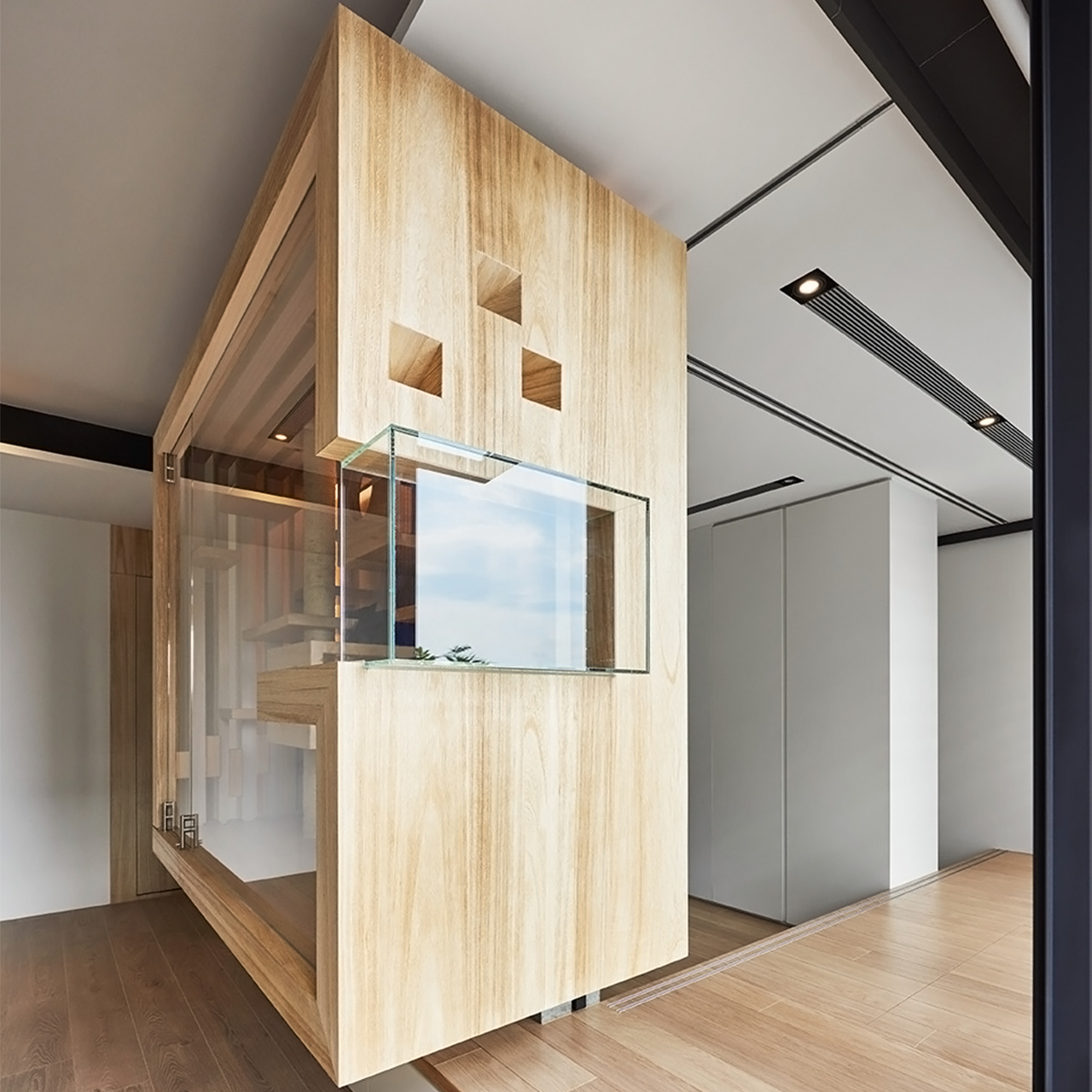 apartment，Glass cabin，cat，