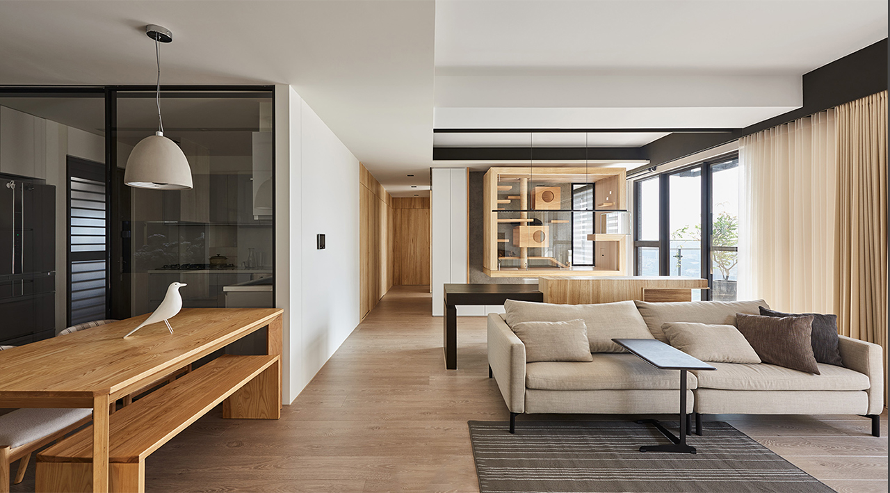 apartment，Glass cabin，cat，