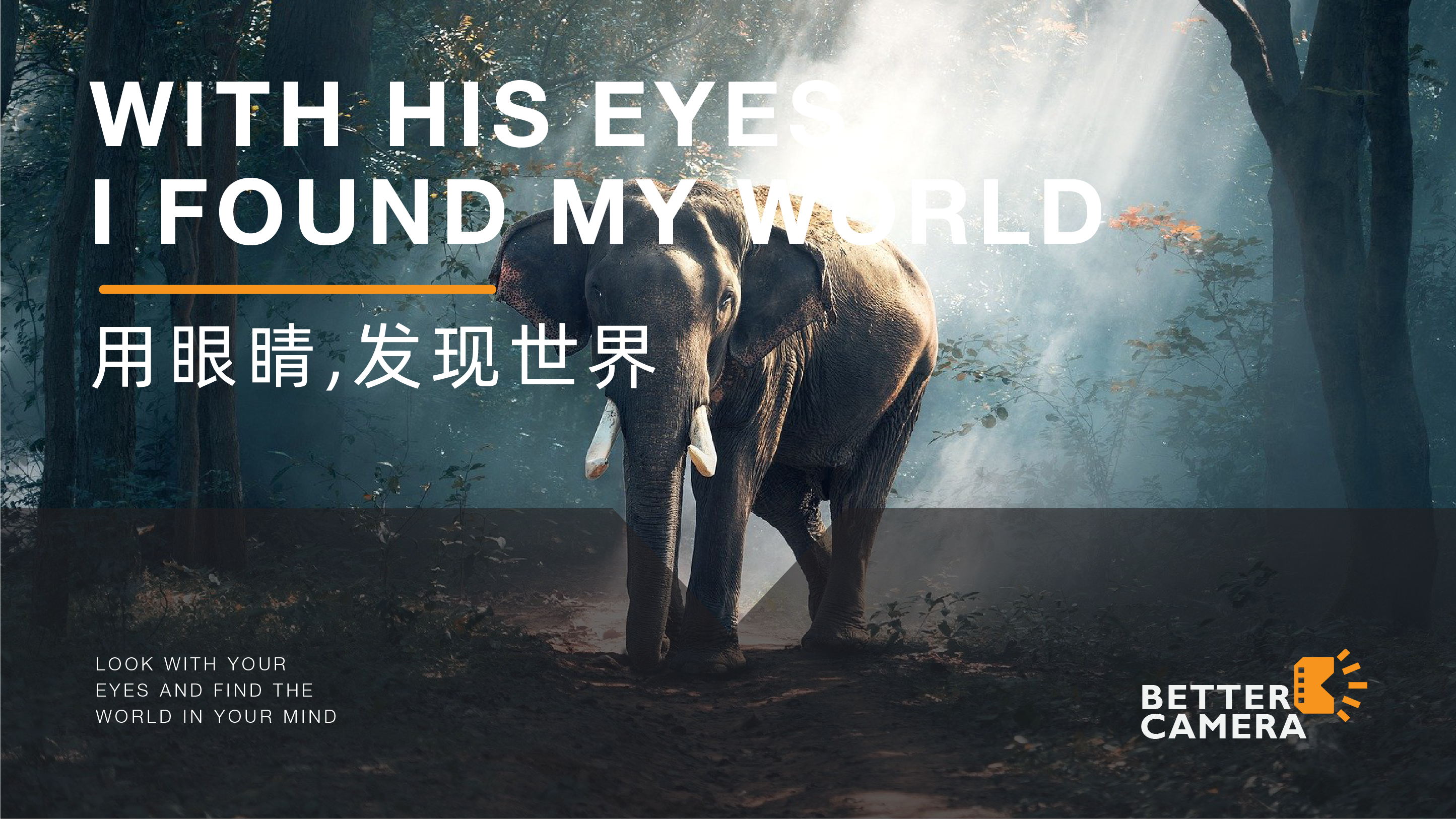 Brand design，Logo design，Extension design，logo，