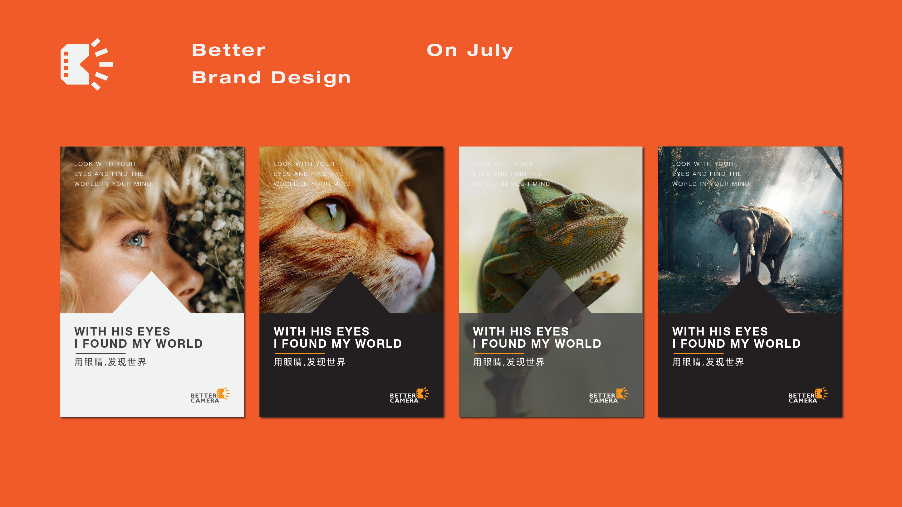 Brand design，Logo design，Extension design，logo，