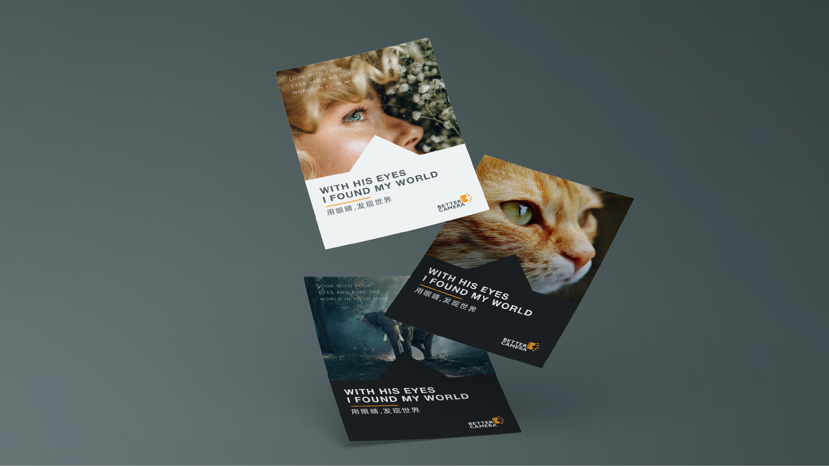 Brand design，Logo design，Extension design，logo，