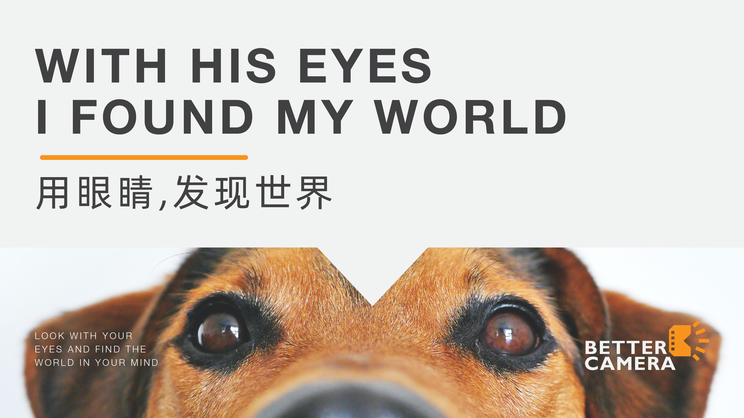 Brand design，Logo design，Extension design，logo，