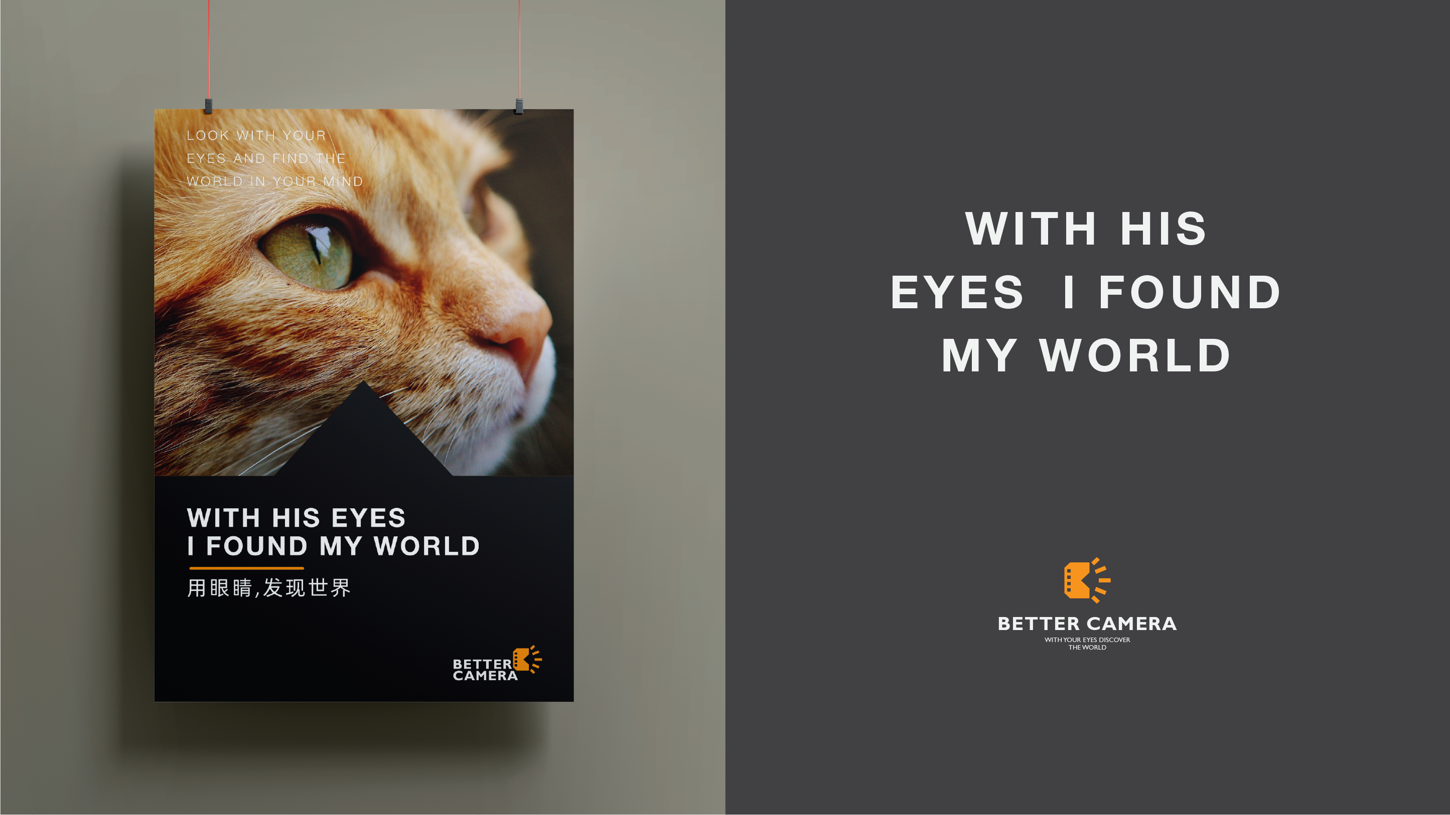 Brand design，Logo design，Extension design，logo，